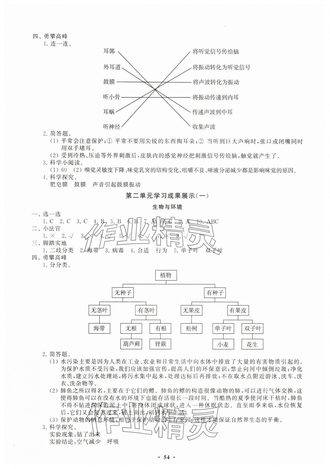 2024年同步练习册分层指导六年级科学下册青岛版 第2页