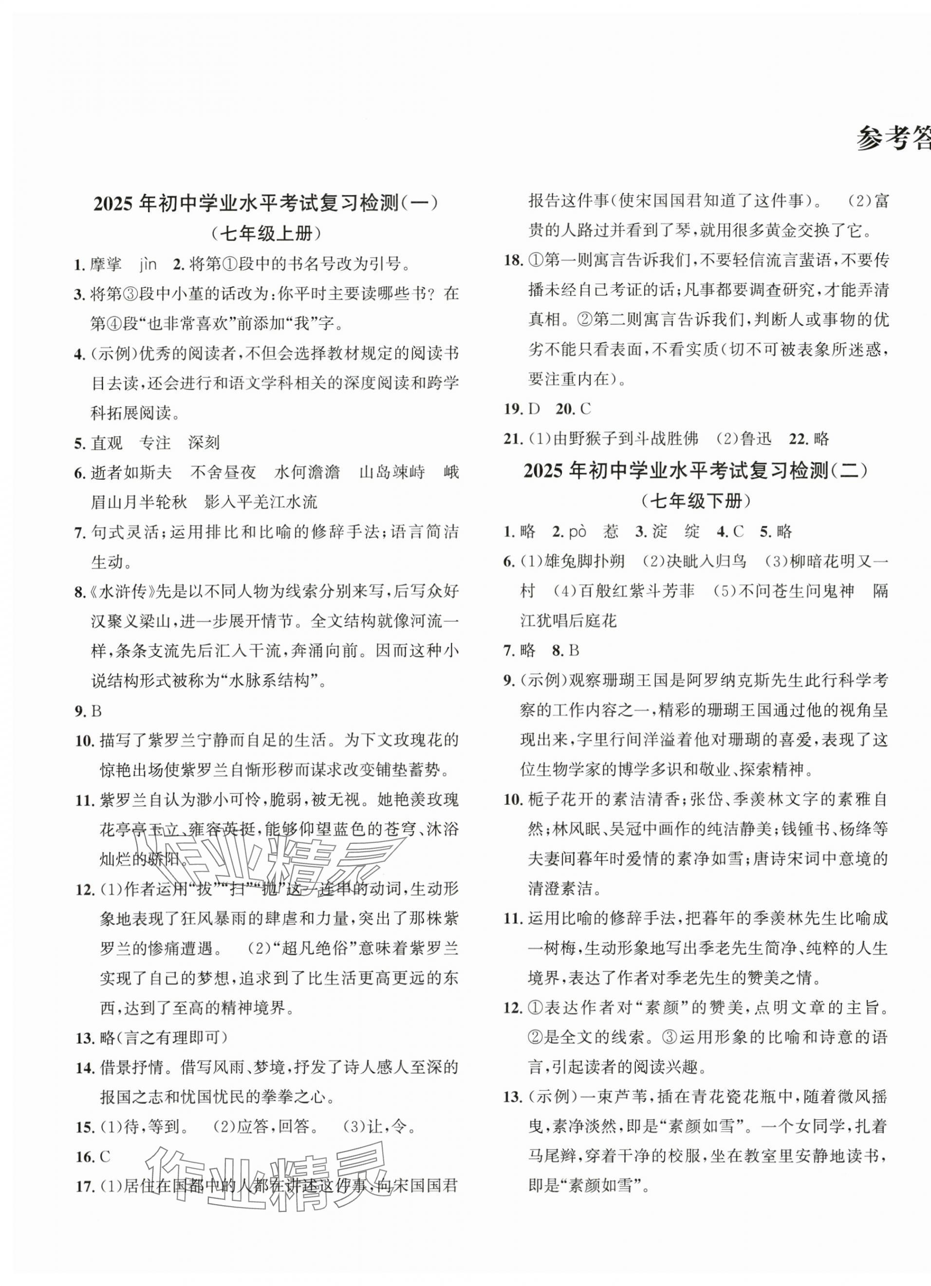 2025年劍指中考學業水平考試復習檢測卷語文中考 第1頁