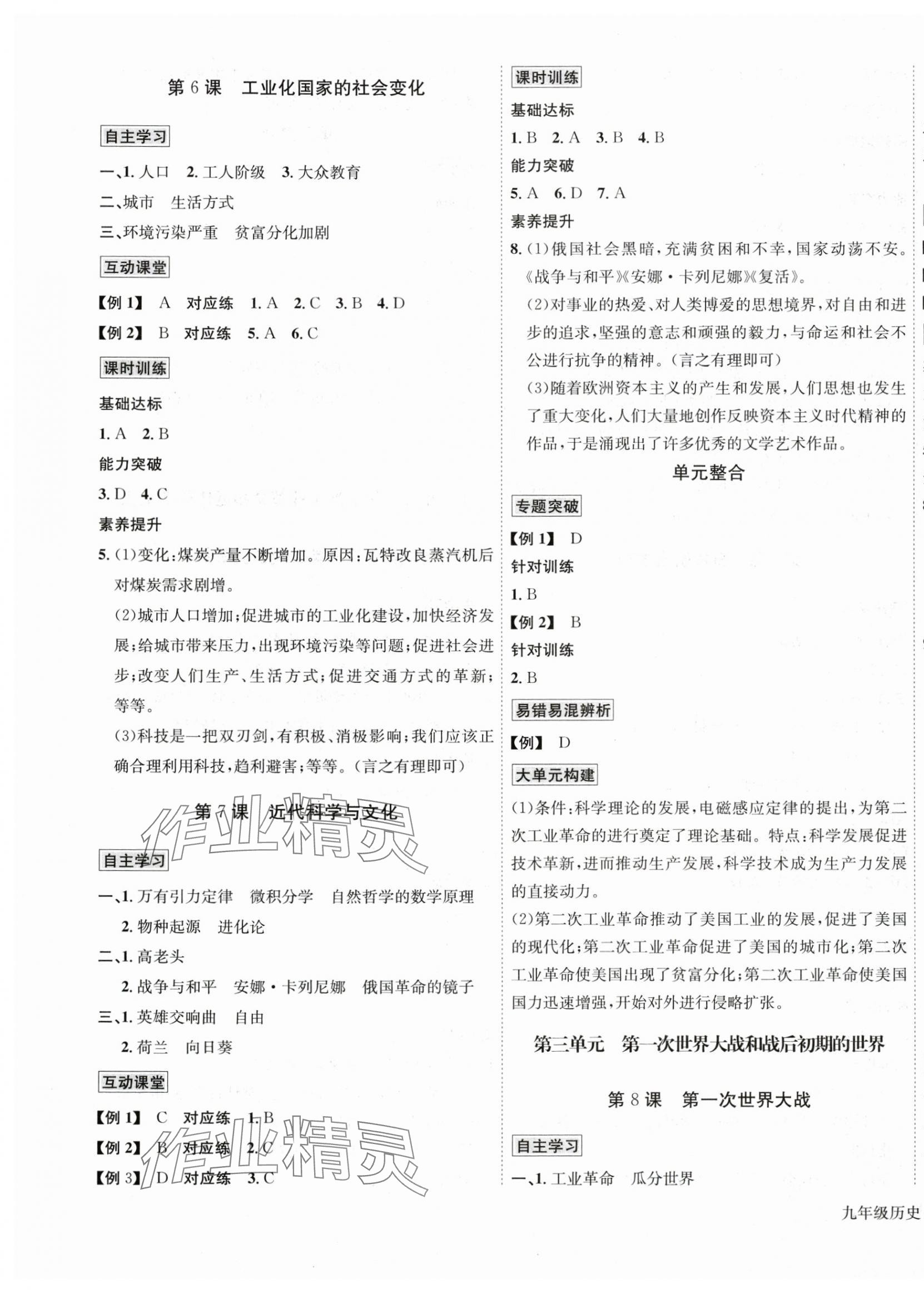 2025年优学名师名题九年级历史下册人教版 第3页
