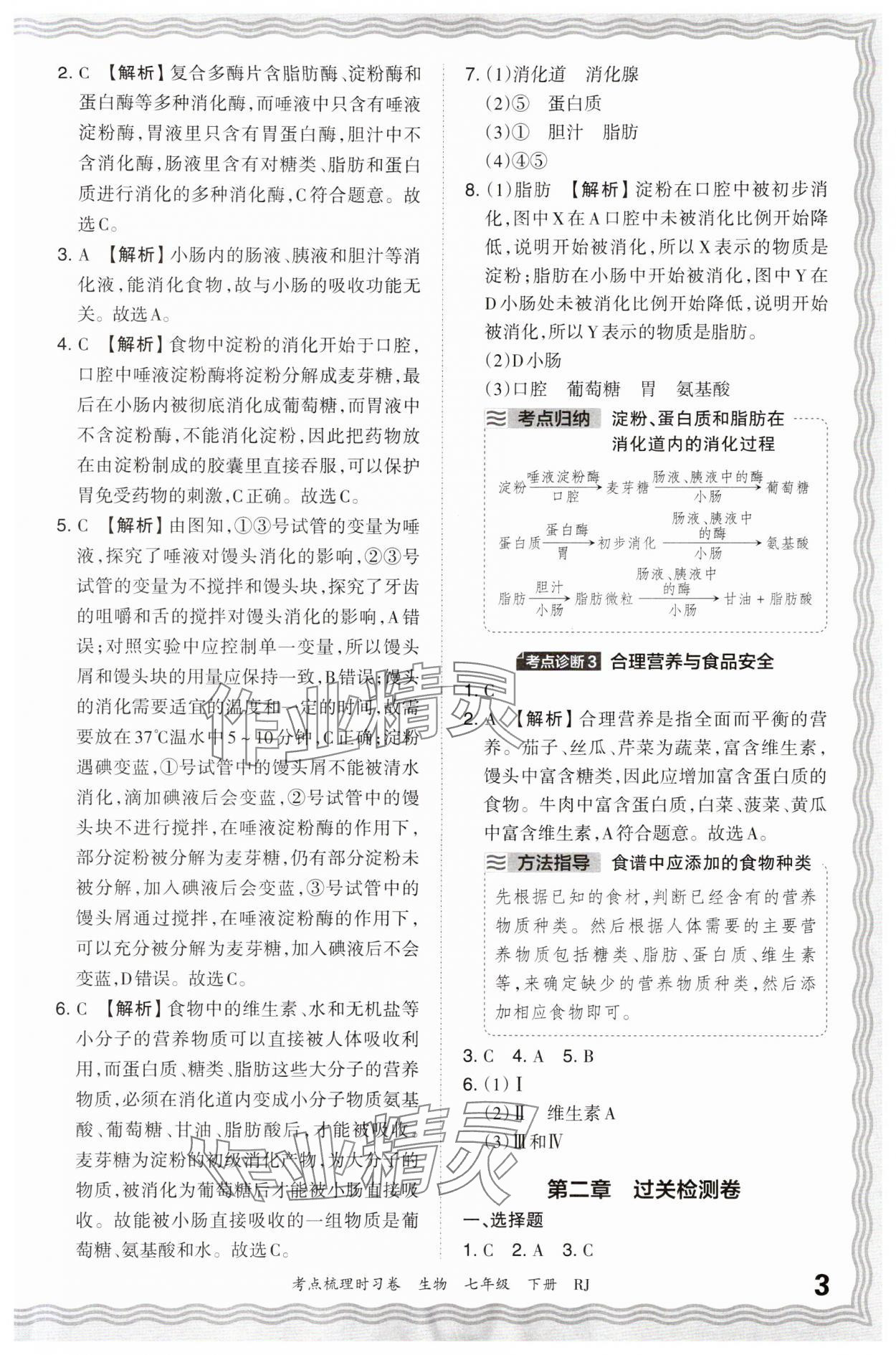 2024年王朝霞考點(diǎn)梳理時(shí)習(xí)卷七年級(jí)生物下冊(cè)人教版 第3頁(yè)