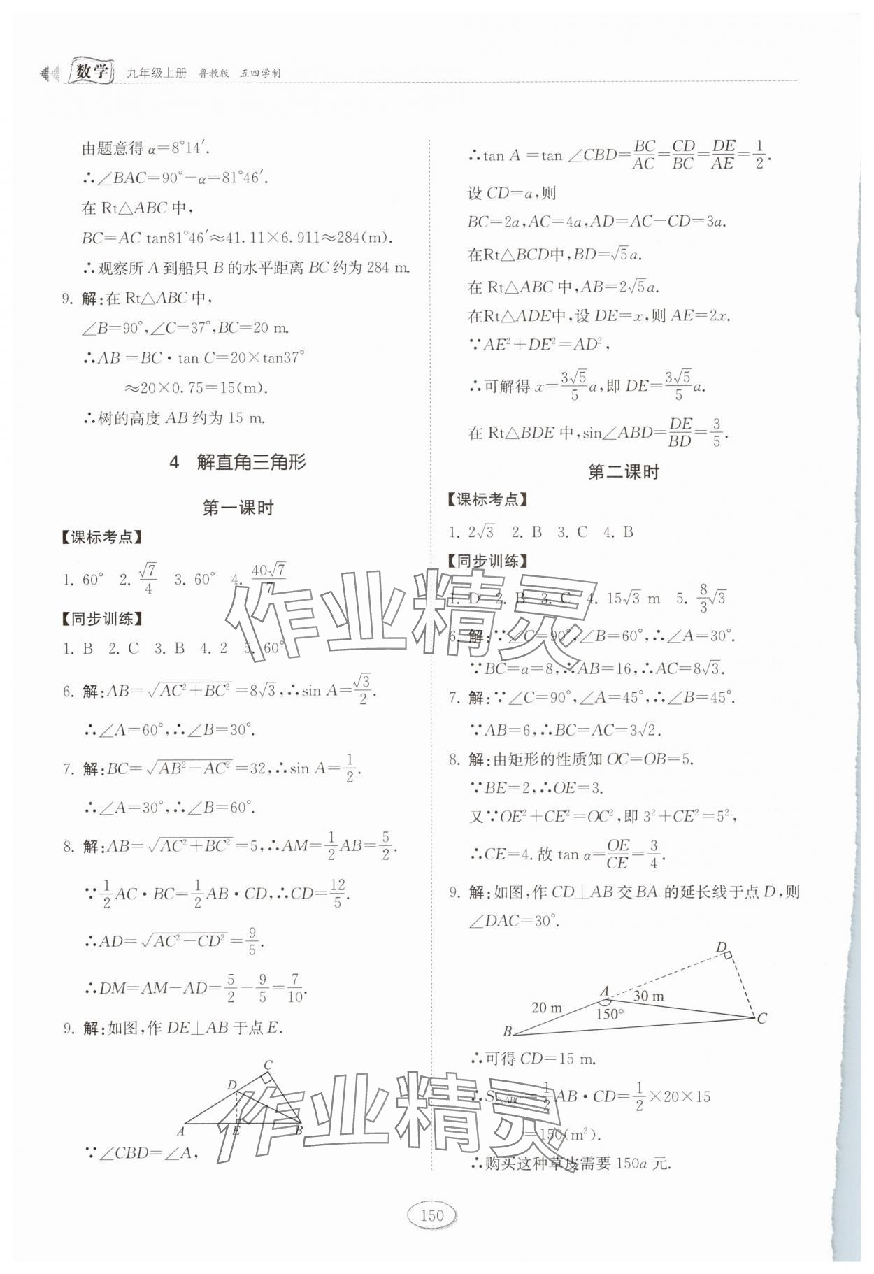 2025年初中同步练习册九年级数学上册鲁教版54制山东科学技术出版社 第8页