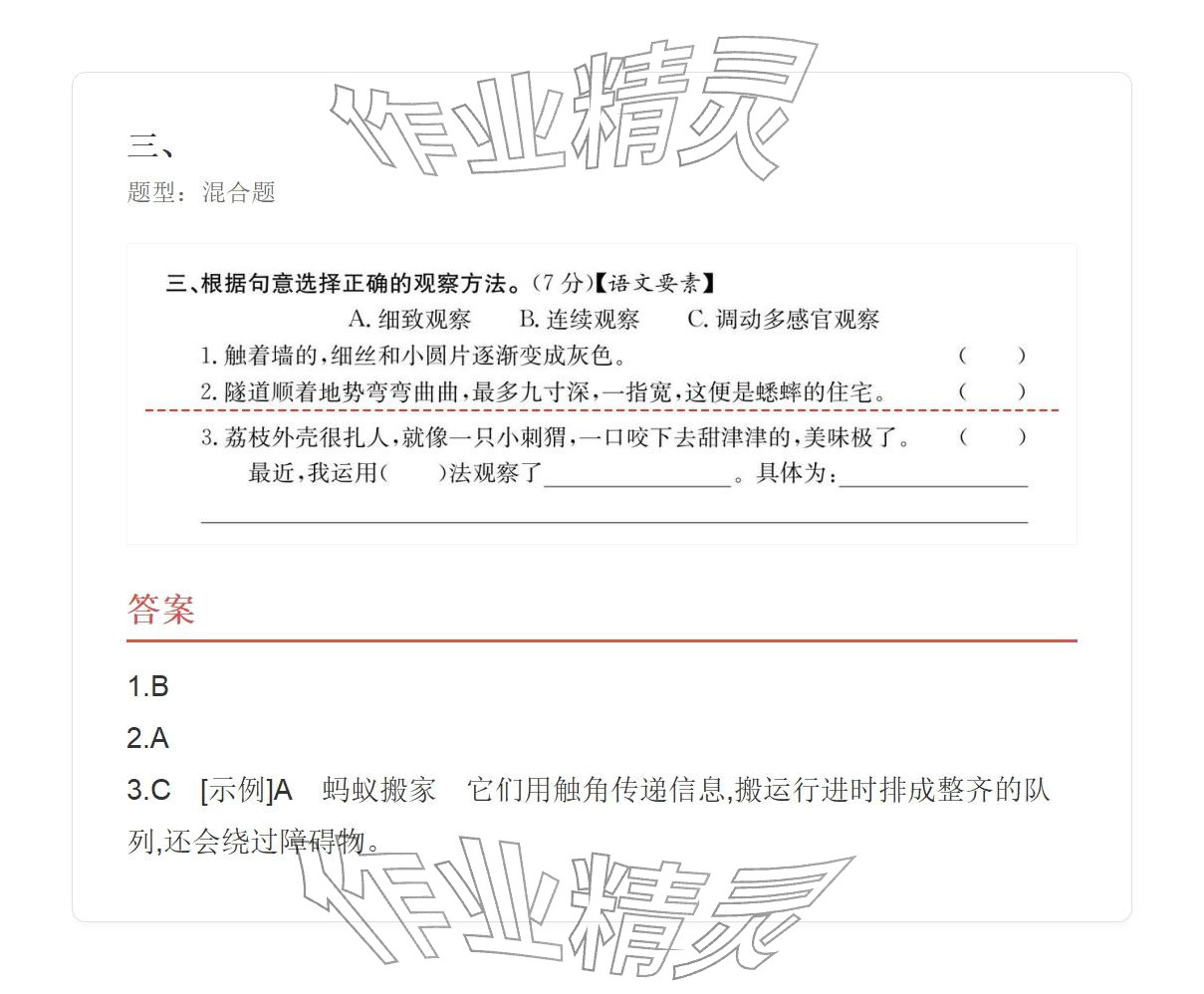 2025年学业水平评价四年级语文上册人教版 参考答案第46页