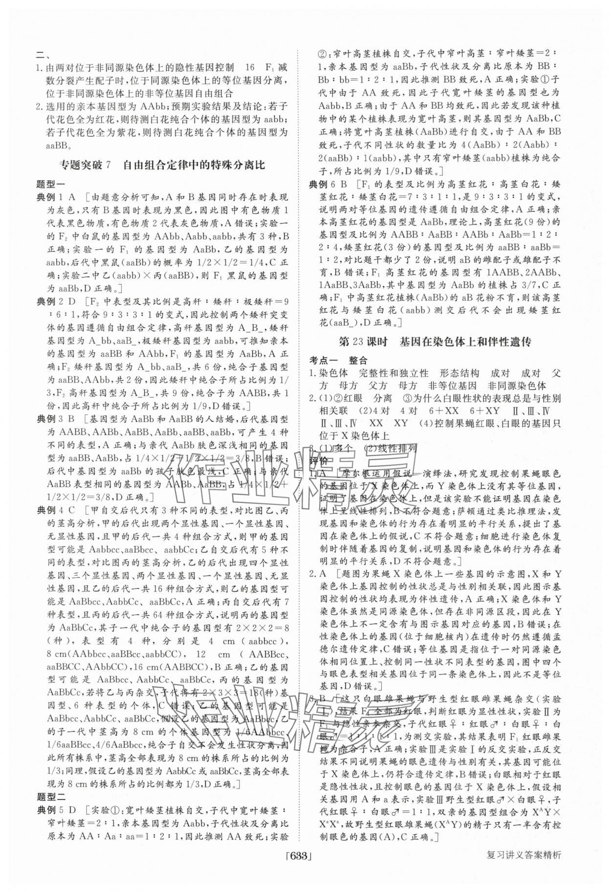 2025年步步高大一輪復習講義高中生物 第25頁