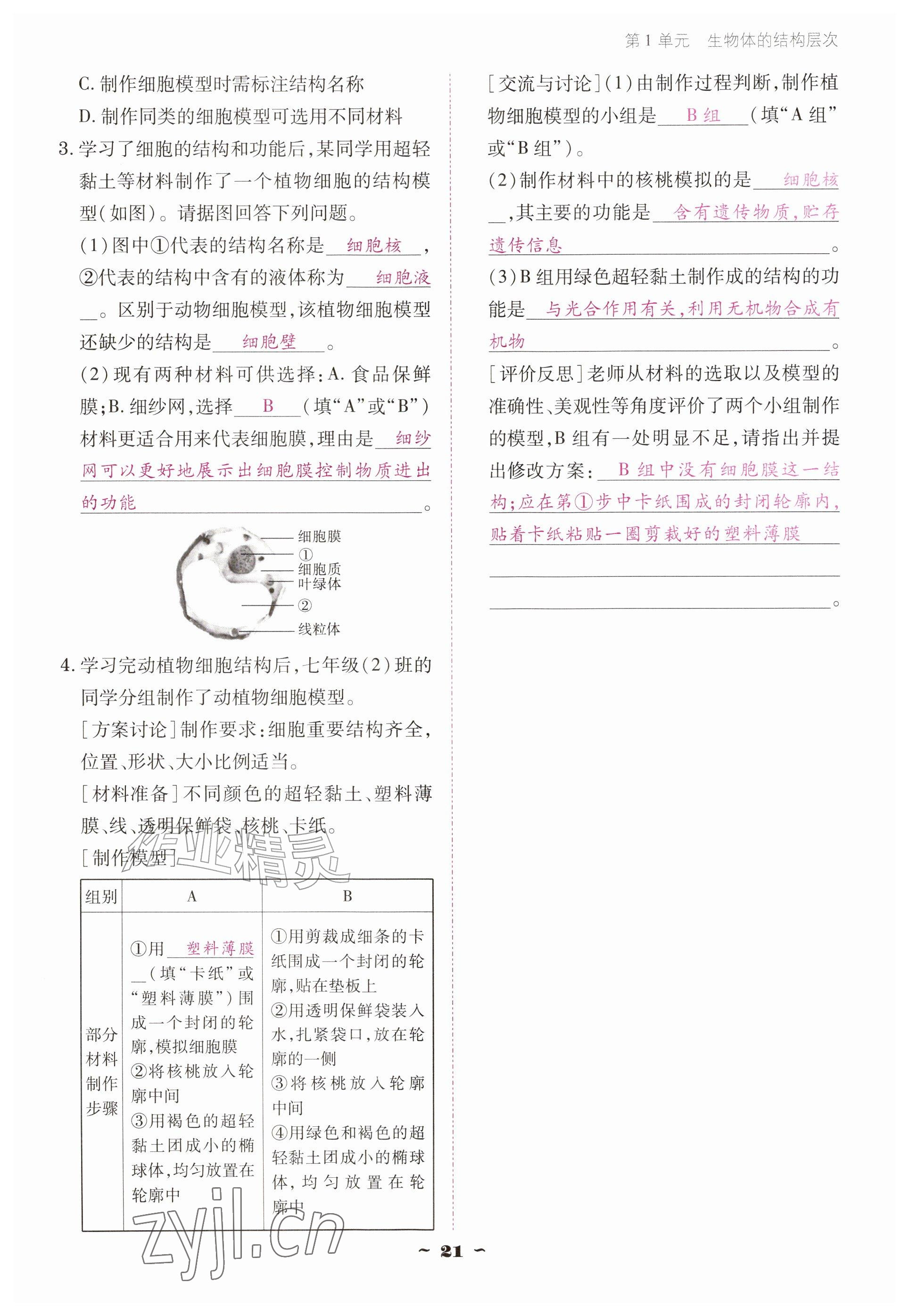 2026年云南省标准教辅优佳学案七年级历史上册人教版&nbsp;参考答案第21页