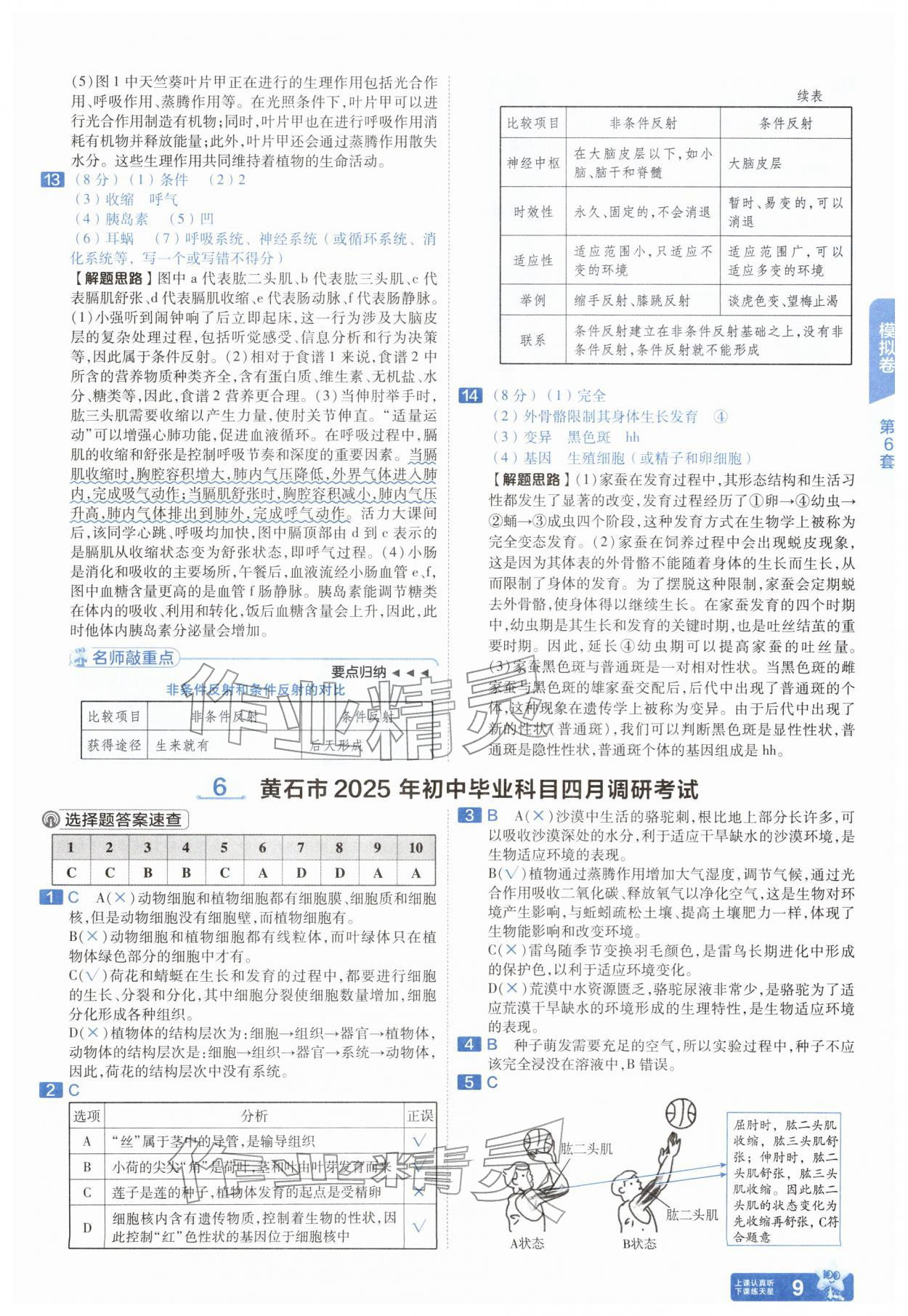 2026年金考卷45套汇编生物湖北专版&nbsp;第9页