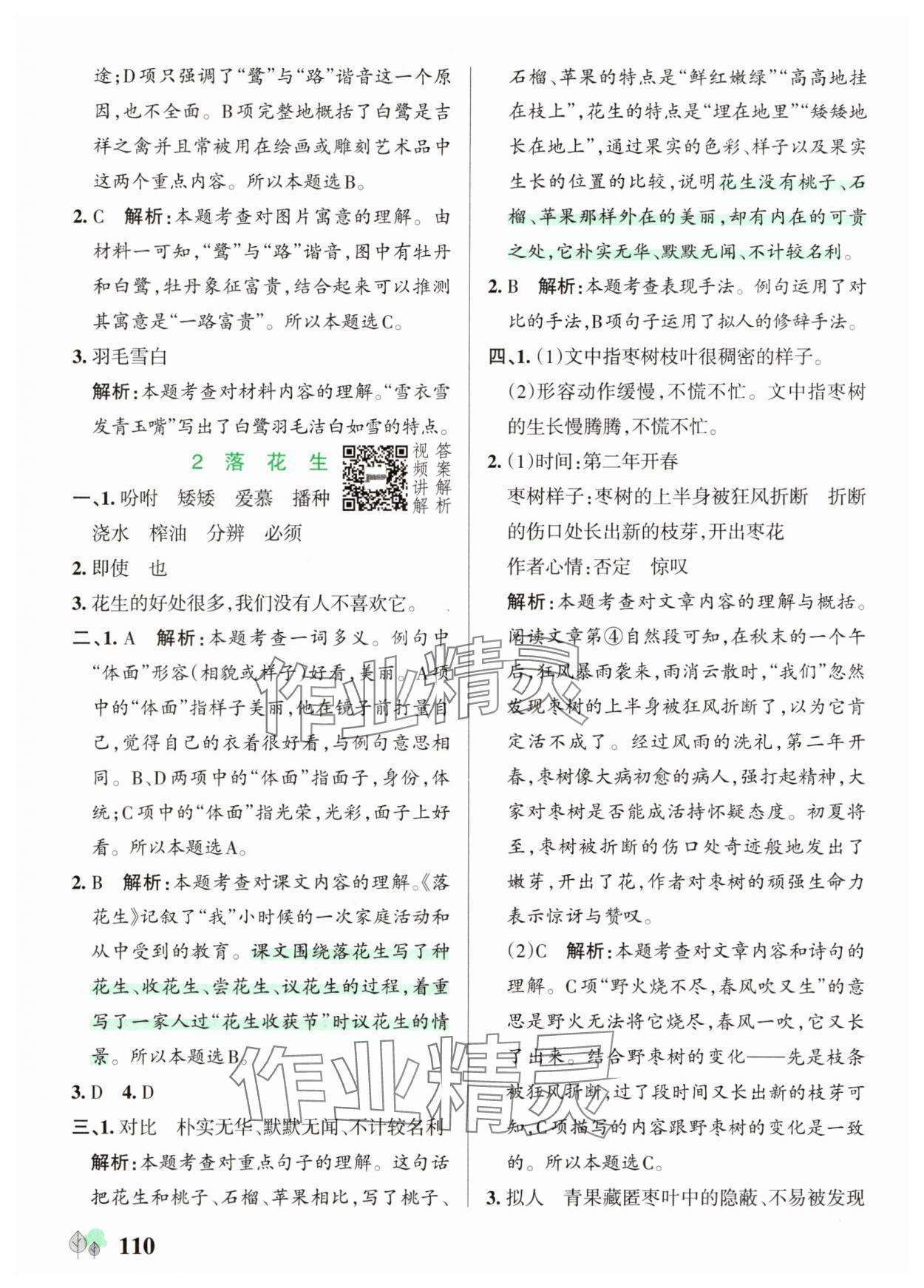 2025年绿卡提优特训五年级语文上册人教版 参考答案第2页