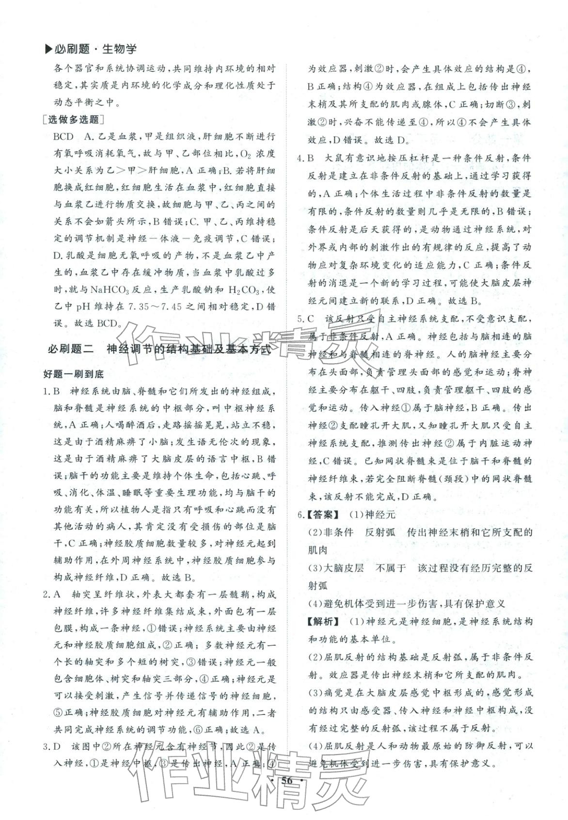 2026年优选课堂必刷题高二生物全一册人教版 第2页