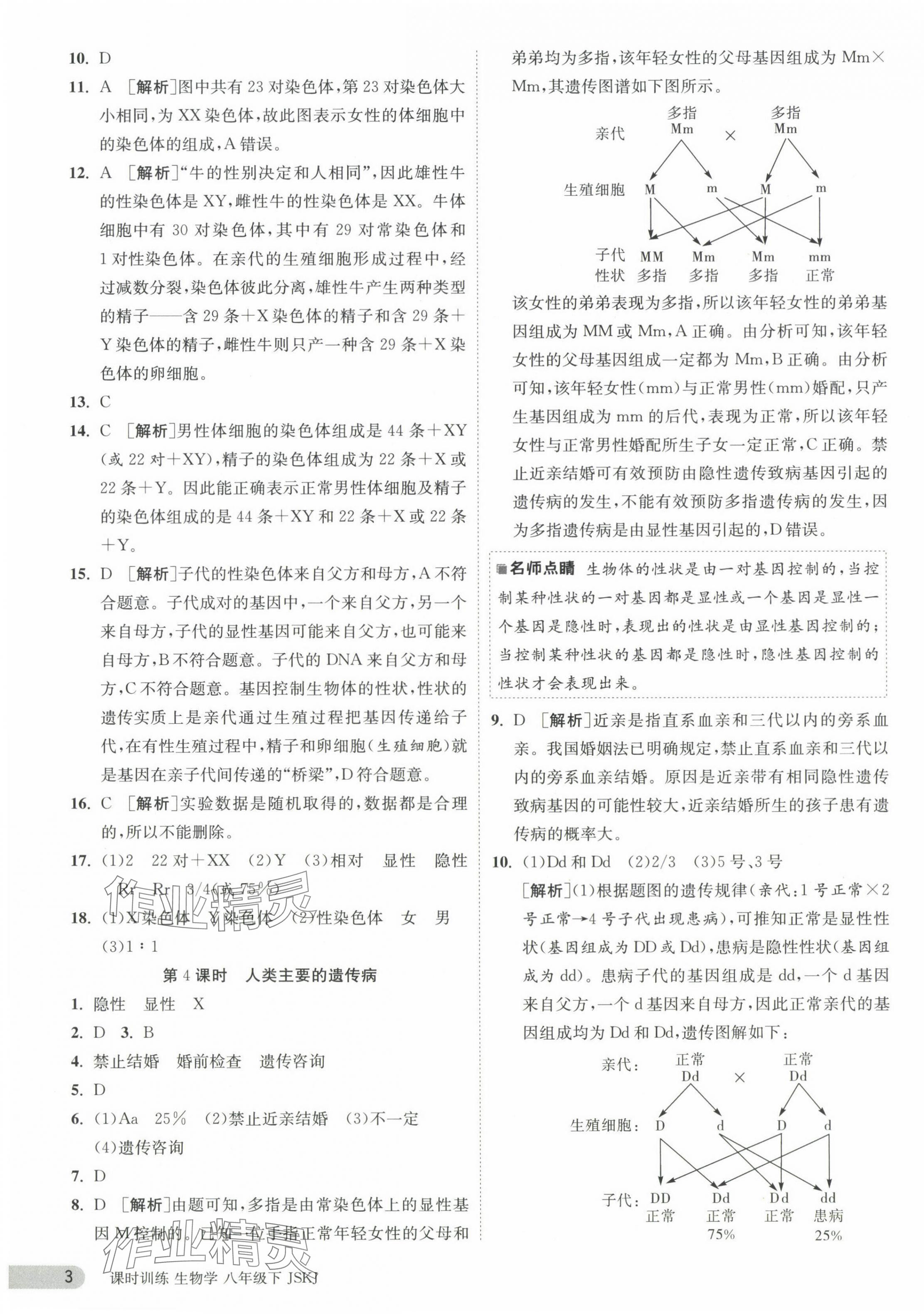 2024年课时训练江苏人民出版社八年级生物下册苏科版 第3页