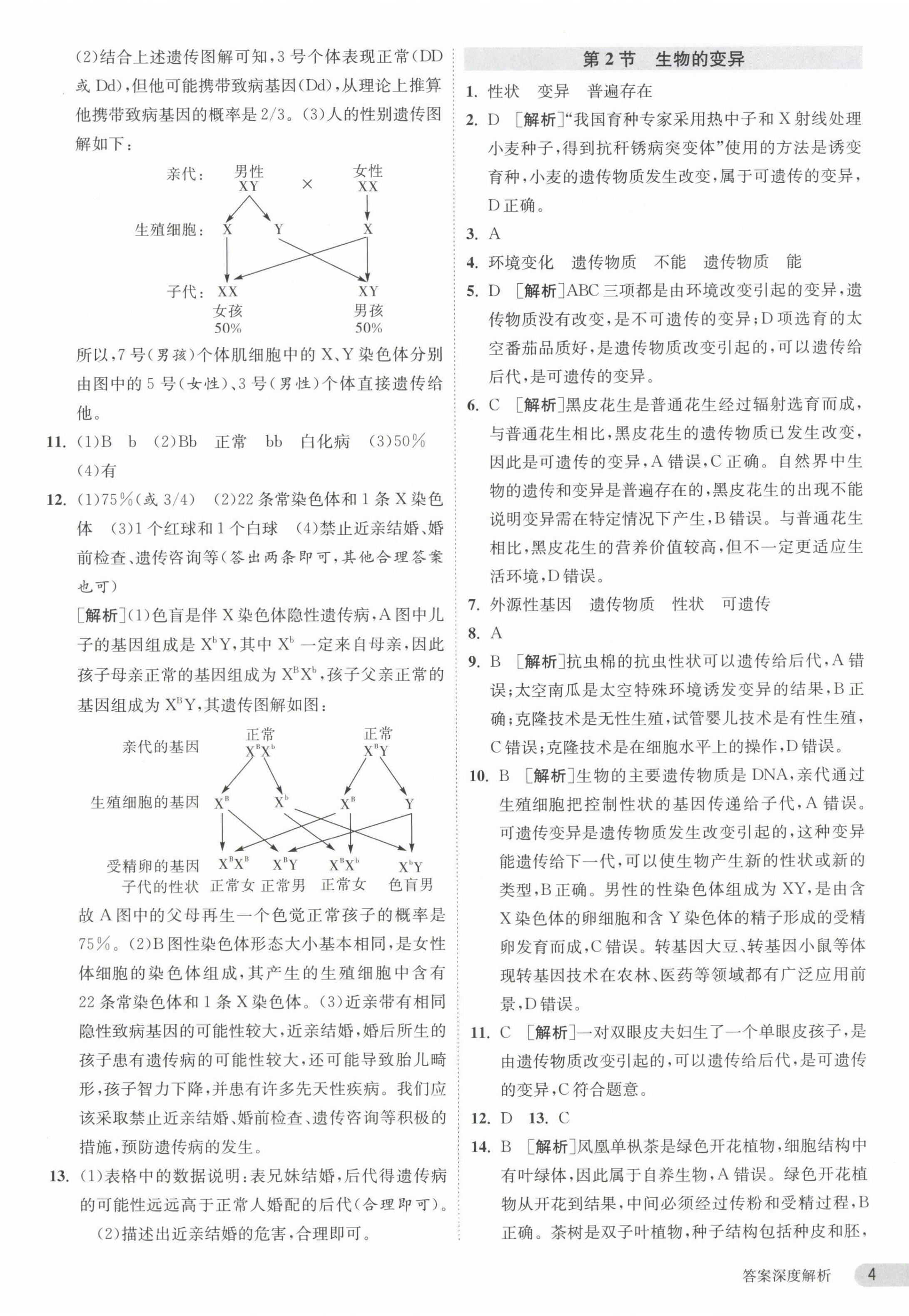 2024年课时训练江苏人民出版社八年级生物下册苏科版 第4页