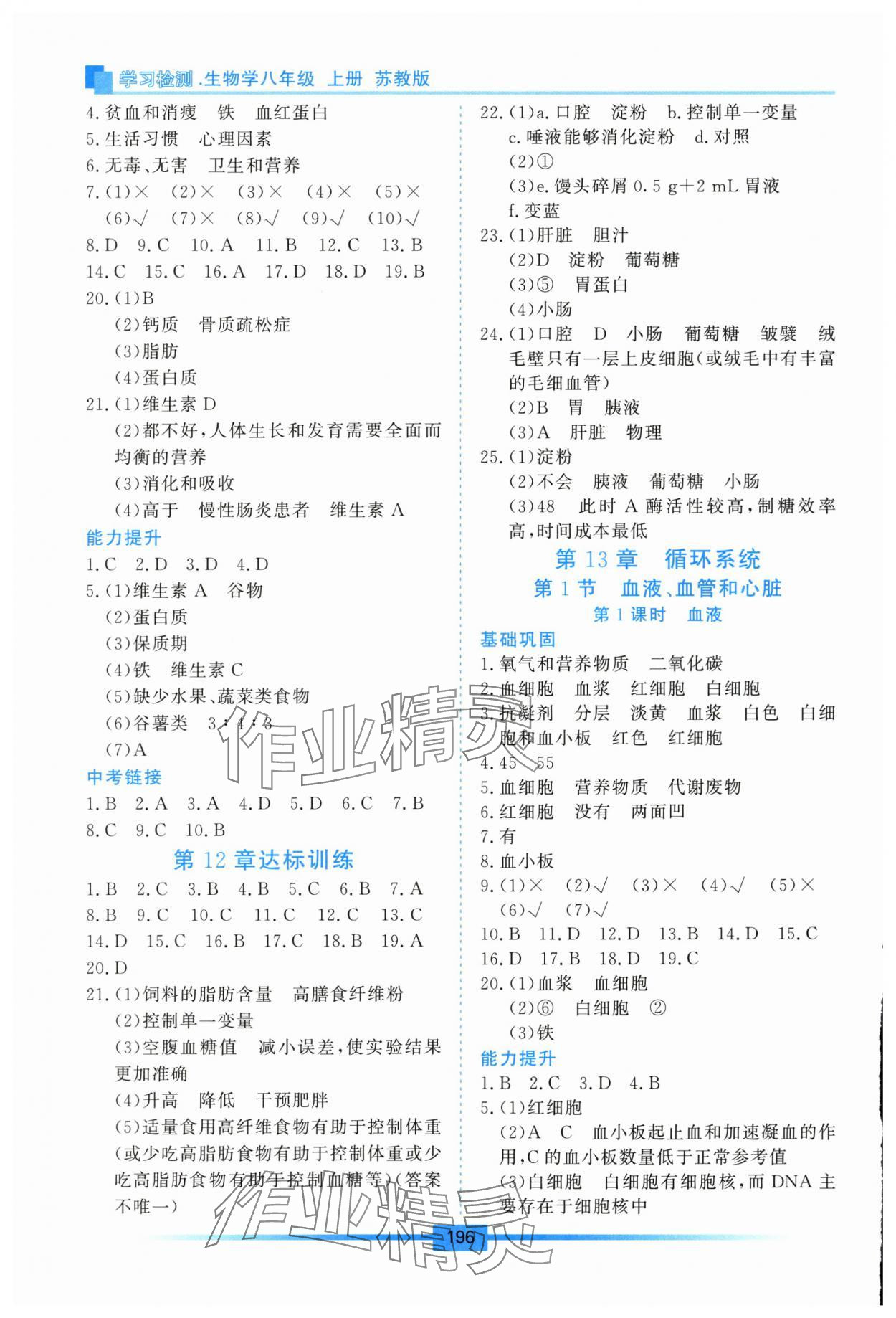2025年学习检测八年级生物上册苏教版 第2页