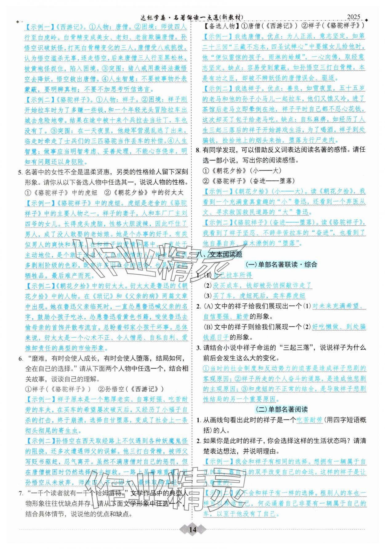 2025年達(dá)標(biāo)學(xué)案名著解讀一點(diǎn)通中考版 參考答案第13頁(yè)
