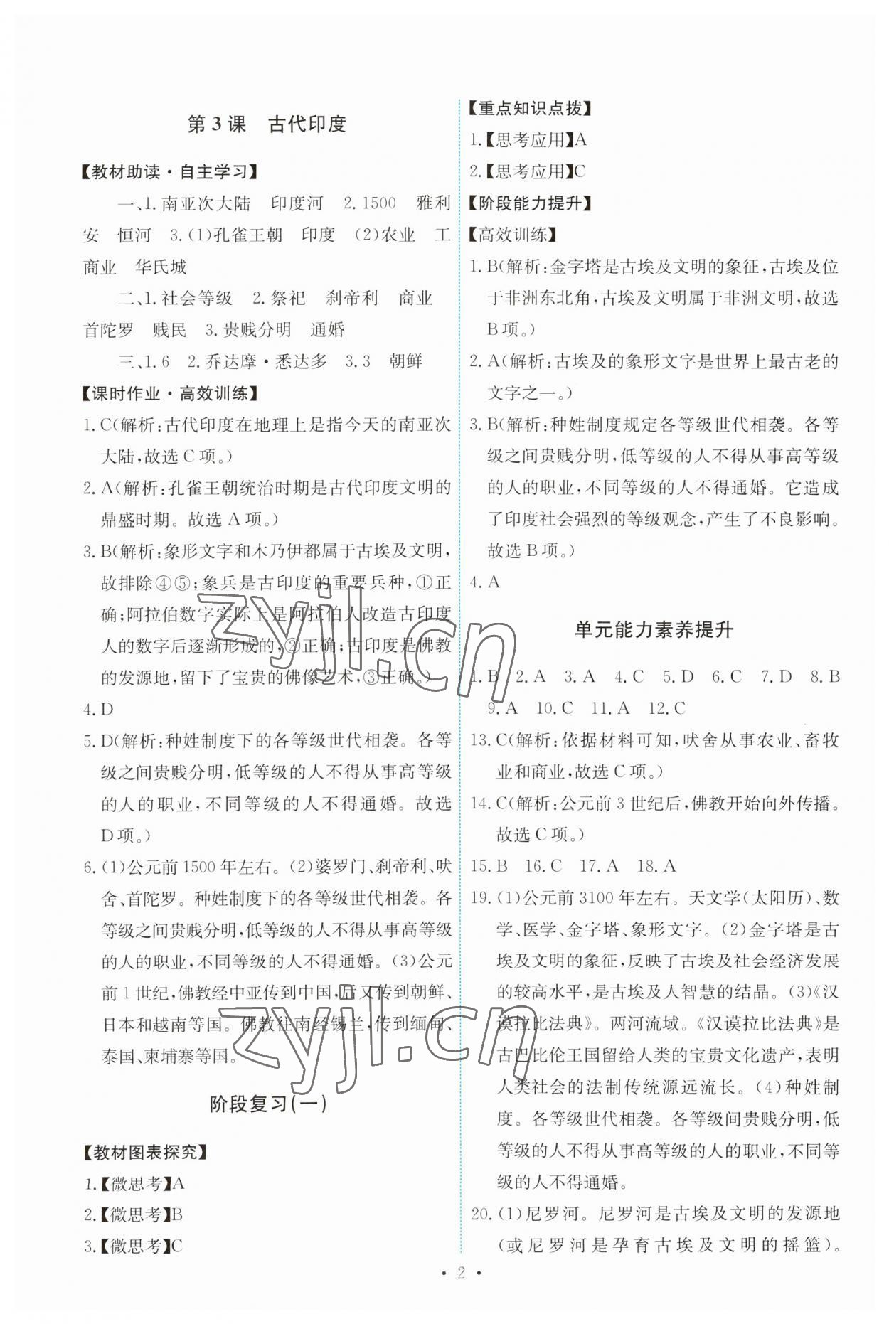 2023年能力培養(yǎng)與測試九年級歷史上冊人教版 第2頁