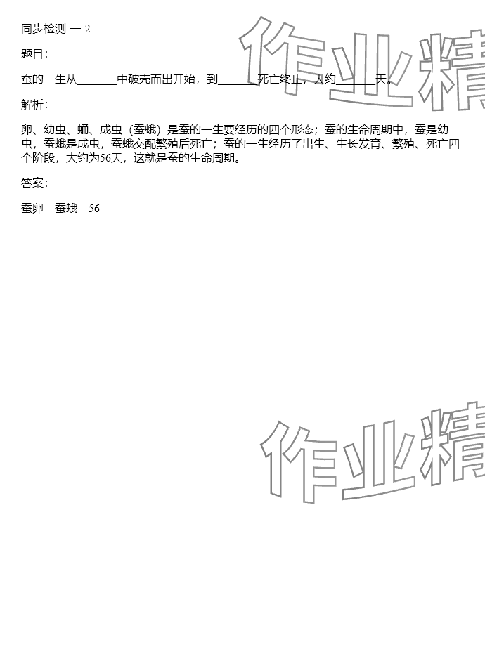 2024年同步實(shí)踐評價(jià)課程基礎(chǔ)訓(xùn)練三年級科學(xué)下冊教科版 參考答案第104頁