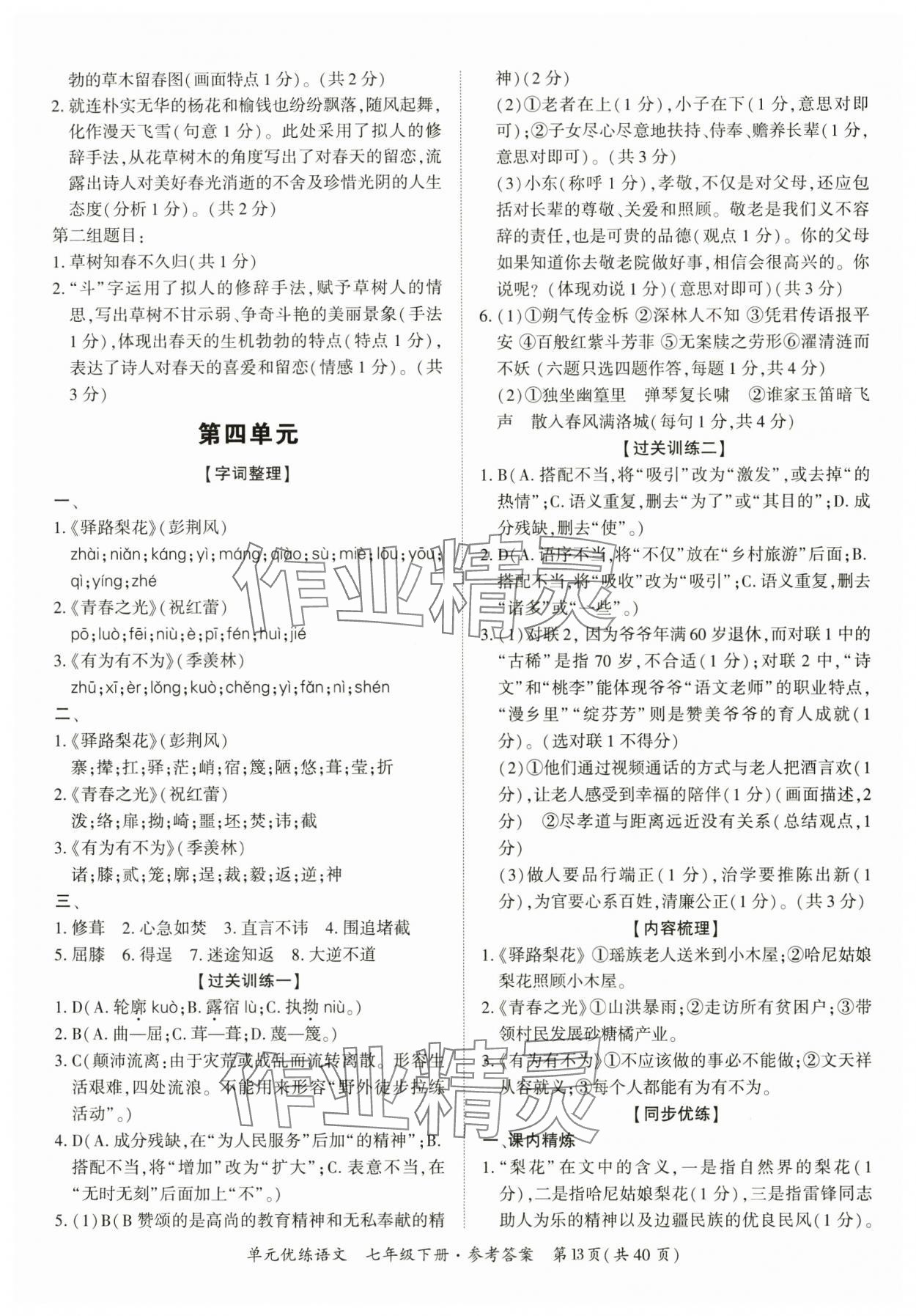 2025年單元優練七年級語文下冊人教版廣州專版 參考答案第13頁