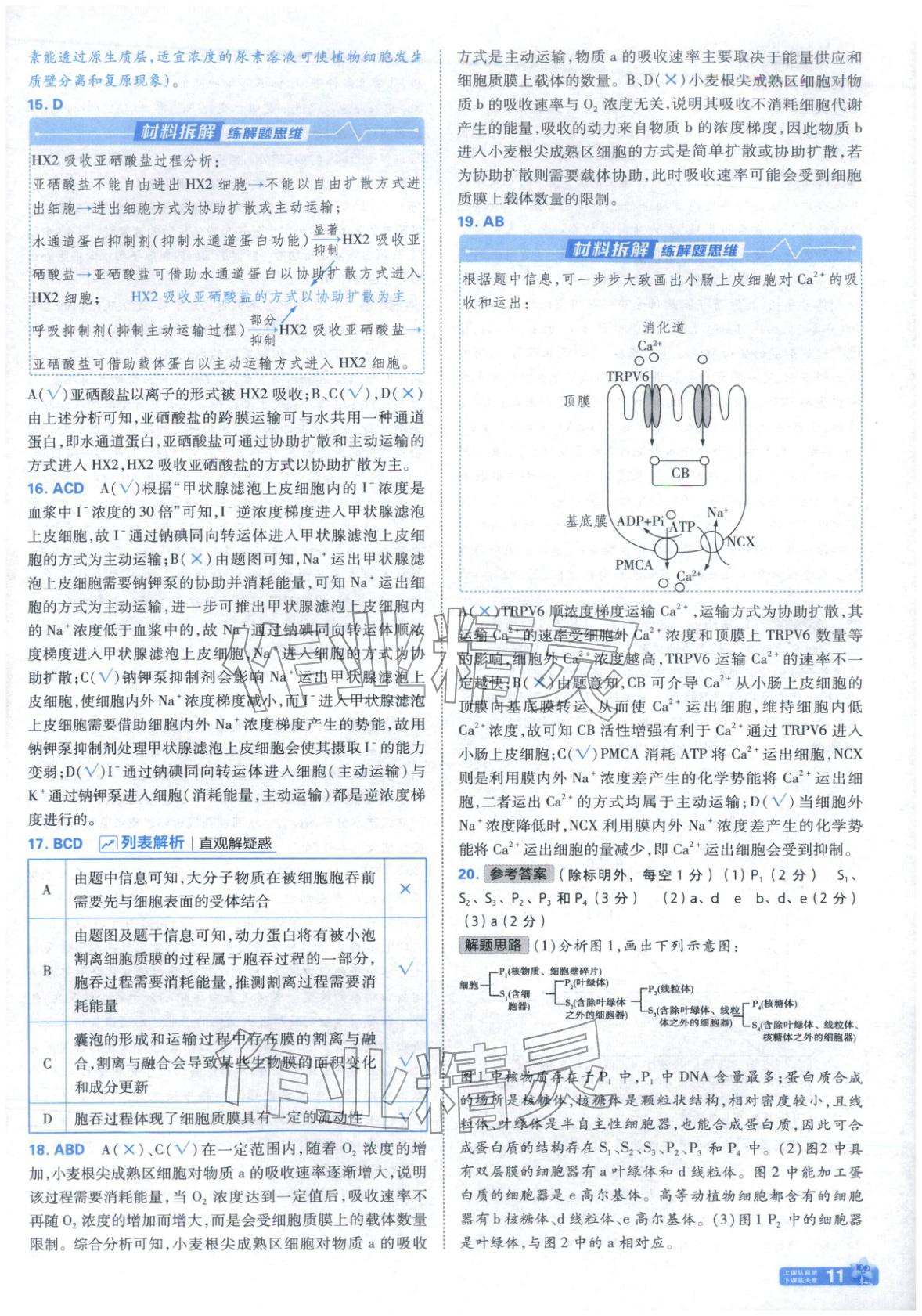 2025年金考卷名師名題單元雙測(cè)卷高中生物必修第一冊(cè)蘇教版&nbsp;參考答案第11頁(yè)