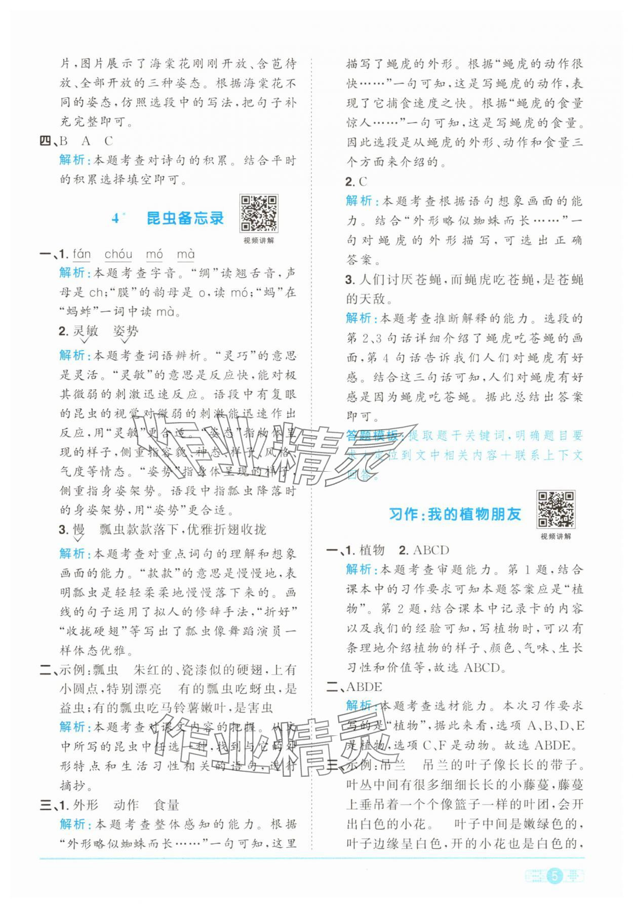 2025年陽光同學課時提優訓練三年級語文下冊人教版 參考答案第5頁