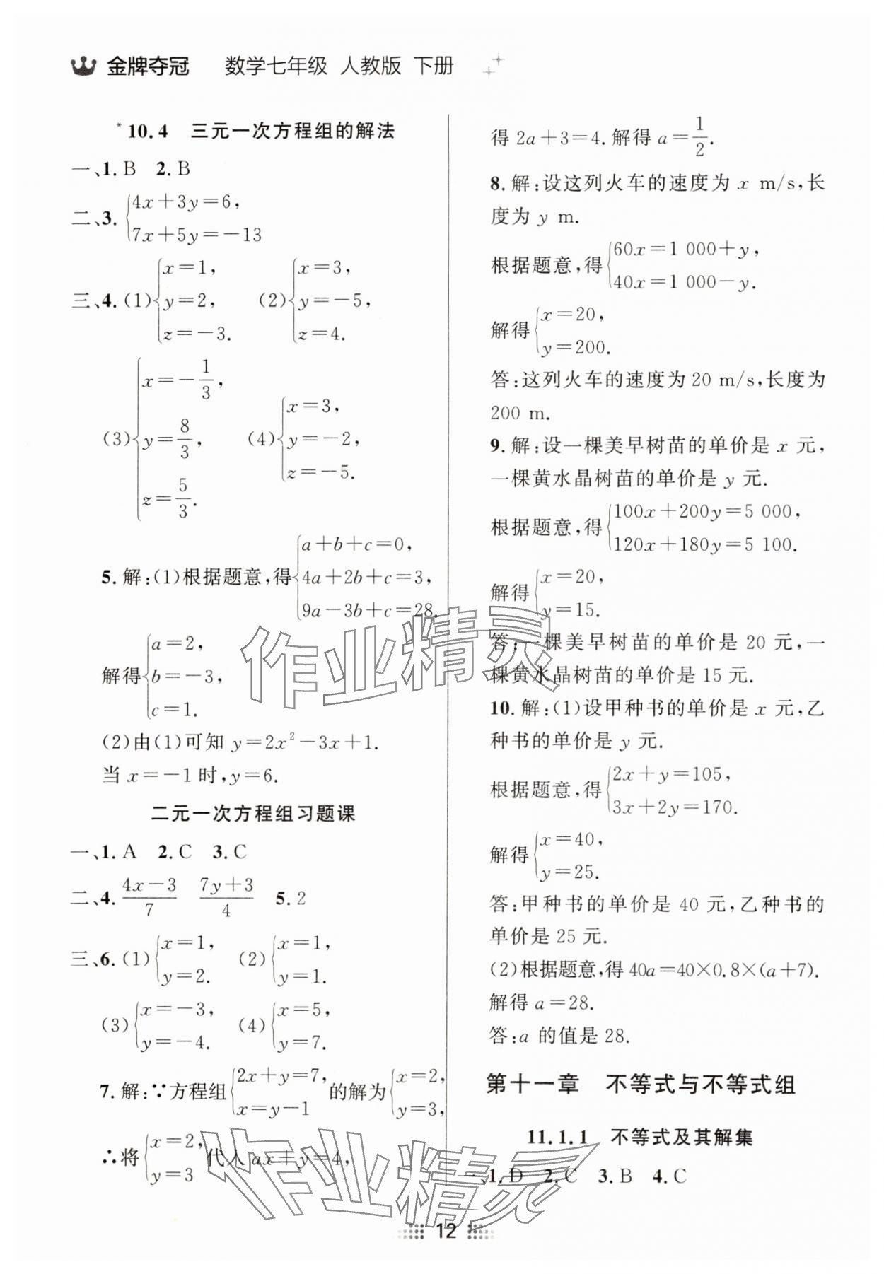 2025年點(diǎn)石成金金牌奪冠七年級數(shù)學(xué)下冊人教版遼寧專版 參考答案第12頁