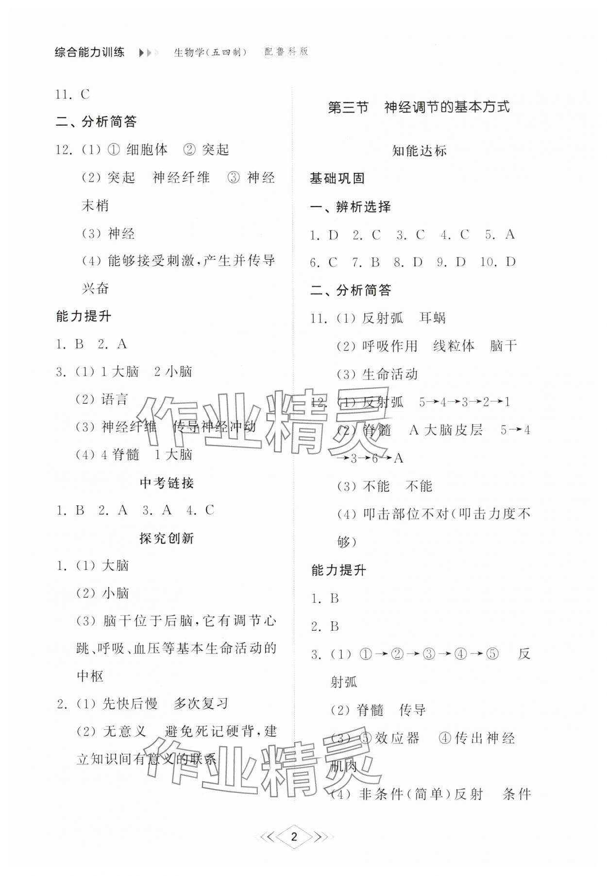 2025年綜合能力訓練七年級生物下冊魯科版54制 參考答案第2頁