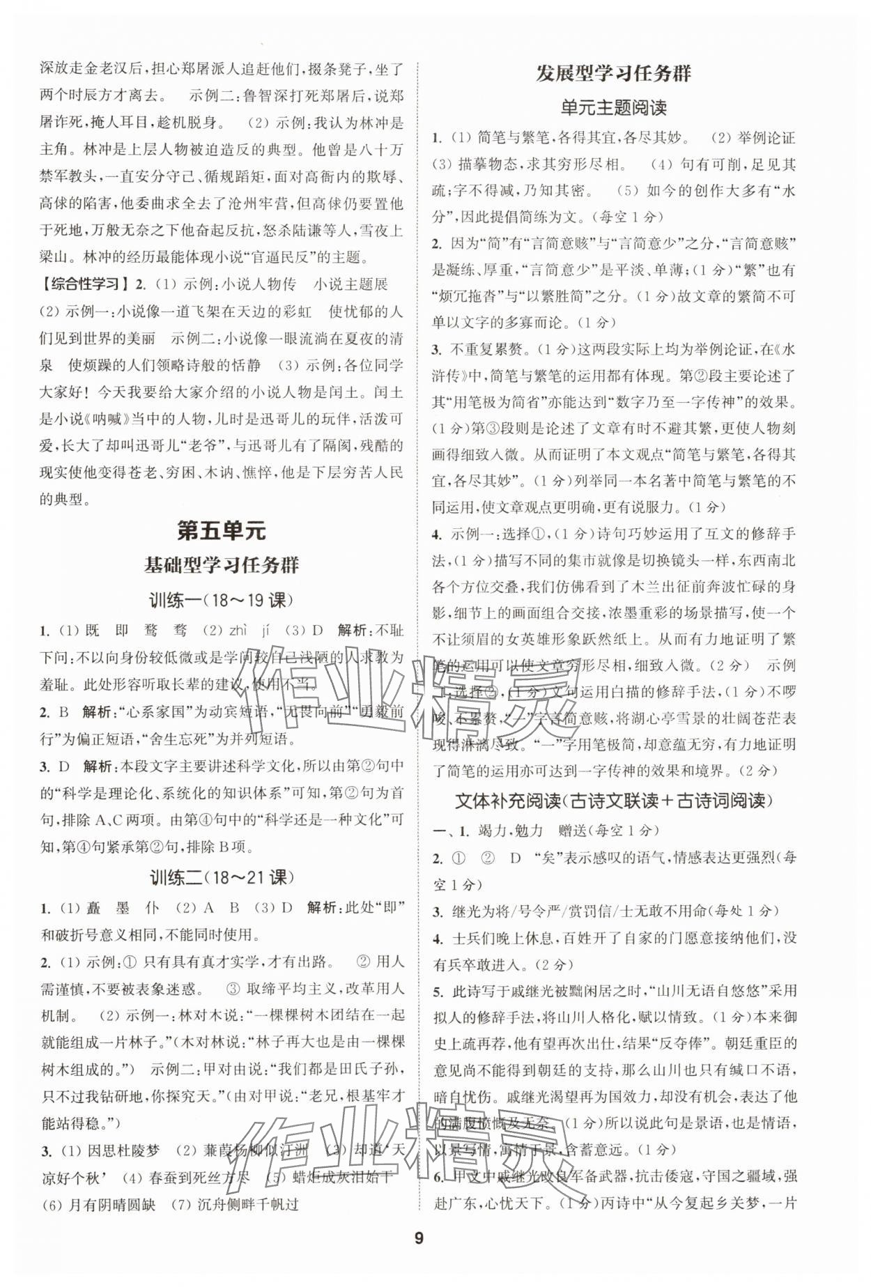 2025年拔尖特訓(xùn)九年級(jí)語文人教版 第9頁