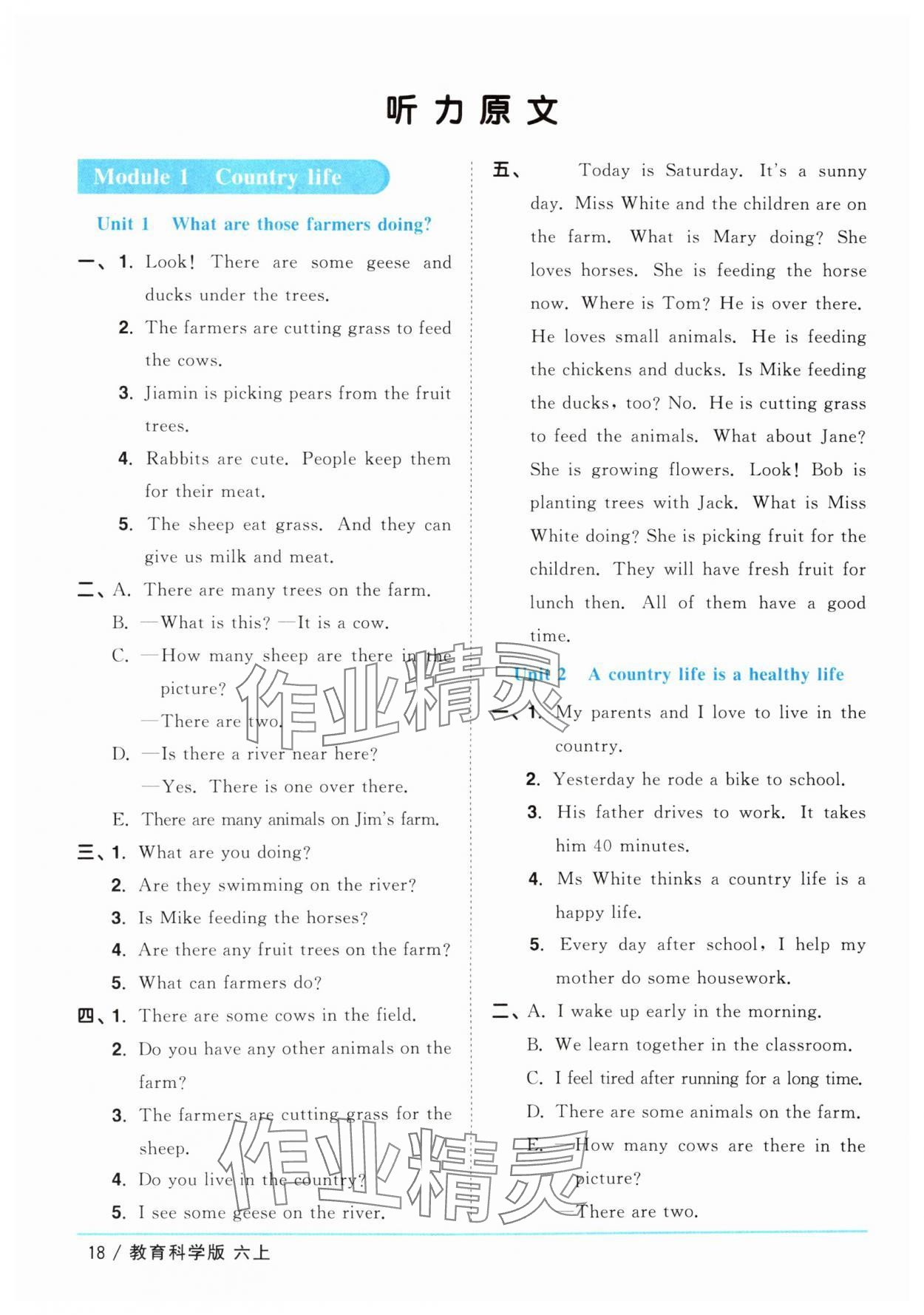 2025年阳光同学课时优化作业六年级英语上册教科版广州专版 第18页