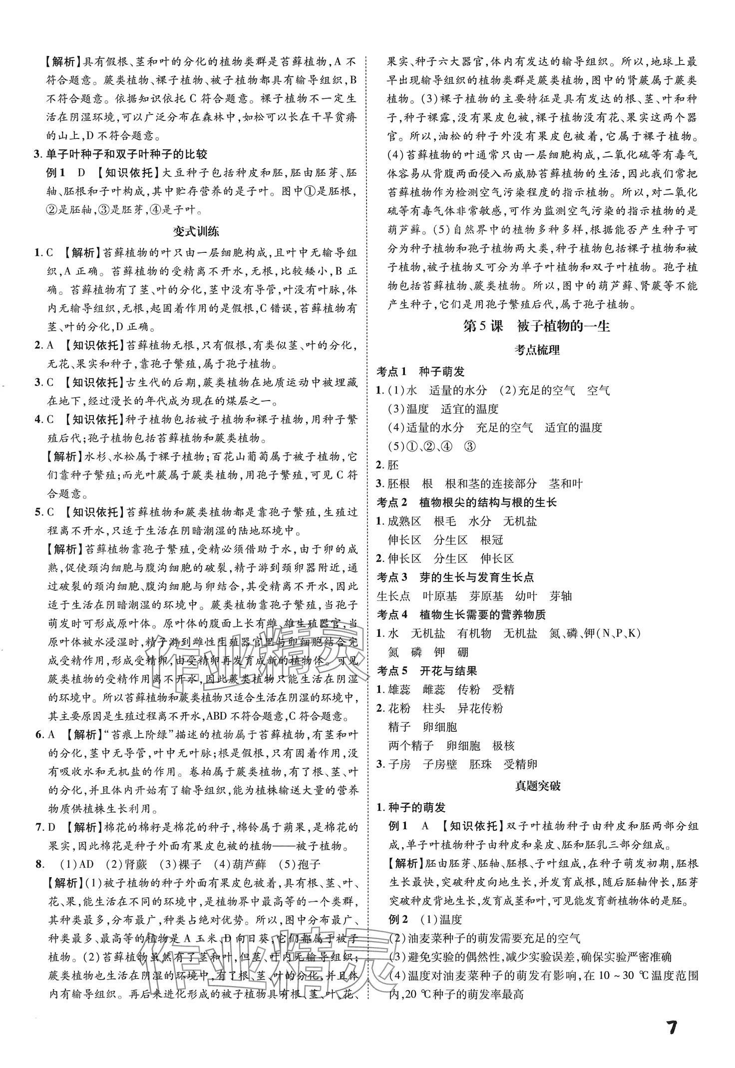 2024年一步名校中考总复习生物&nbsp;第7页