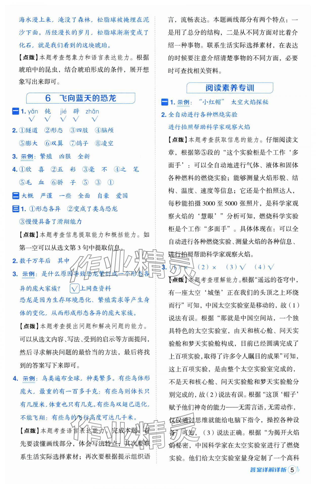 2025年綜合應(yīng)用創(chuàng)新題典中點(diǎn)四年級(jí)語文下冊人教版江蘇專版 第5頁