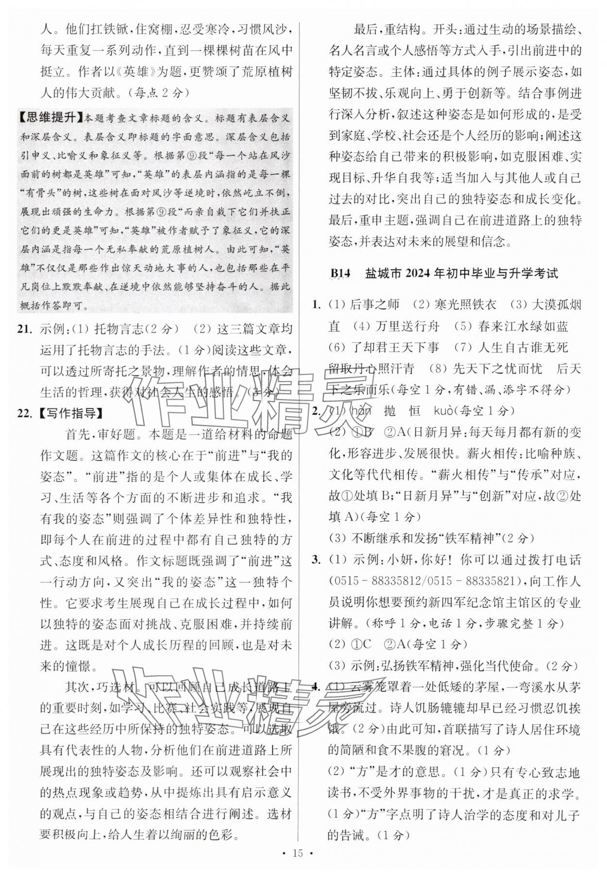 2025年江蘇13大市中考試卷與標(biāo)準(zhǔn)模擬優(yōu)化38套中考語文提優(yōu)版 第15頁