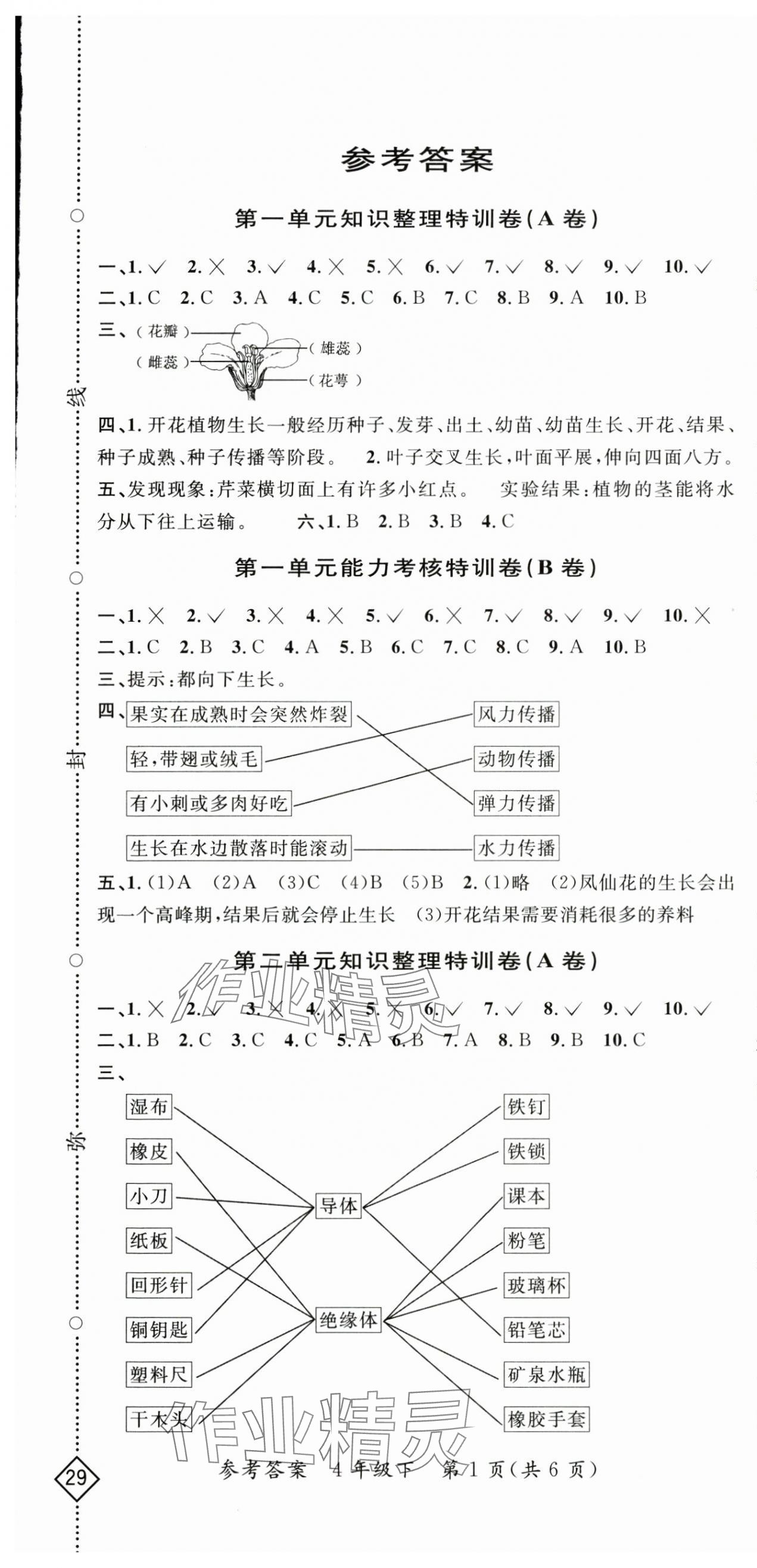 2025年特训卷四年级科学下册教科版 第1页