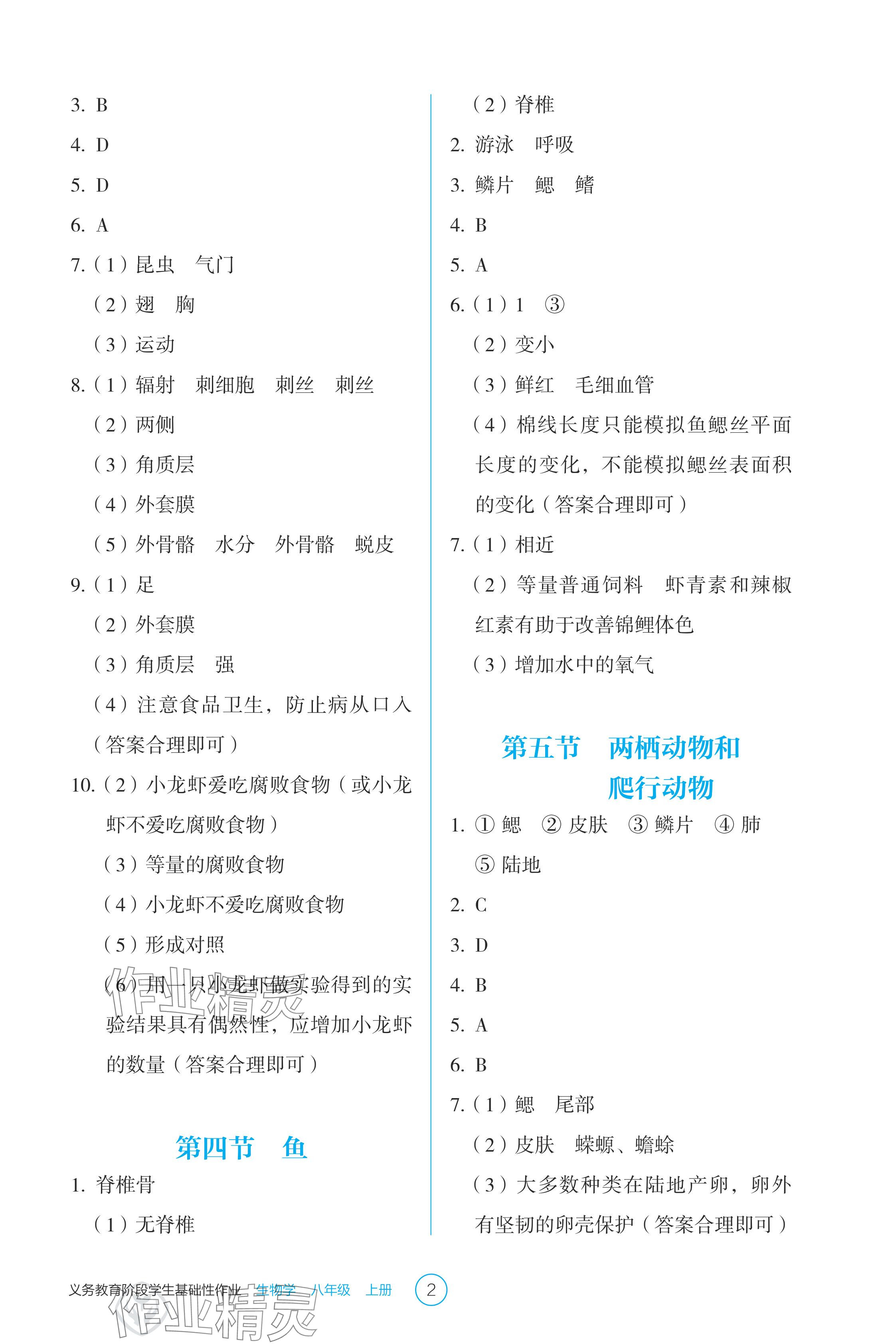 2024年學(xué)生基礎(chǔ)性作業(yè)八年級生物上冊人教版 參考答案第2頁