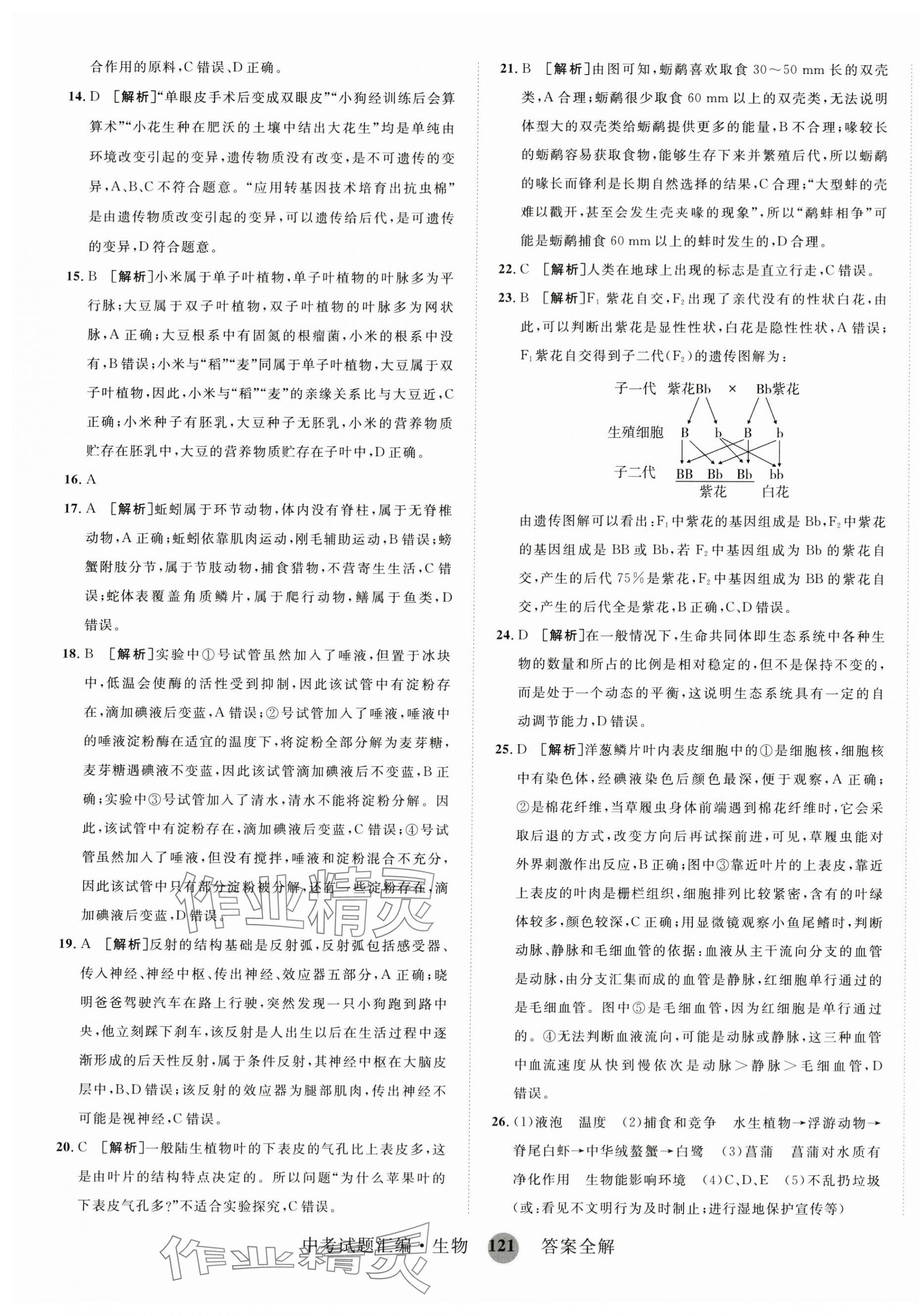 2024年中考試題匯編山東科學(xué)技術(shù)出版社生物 第5頁