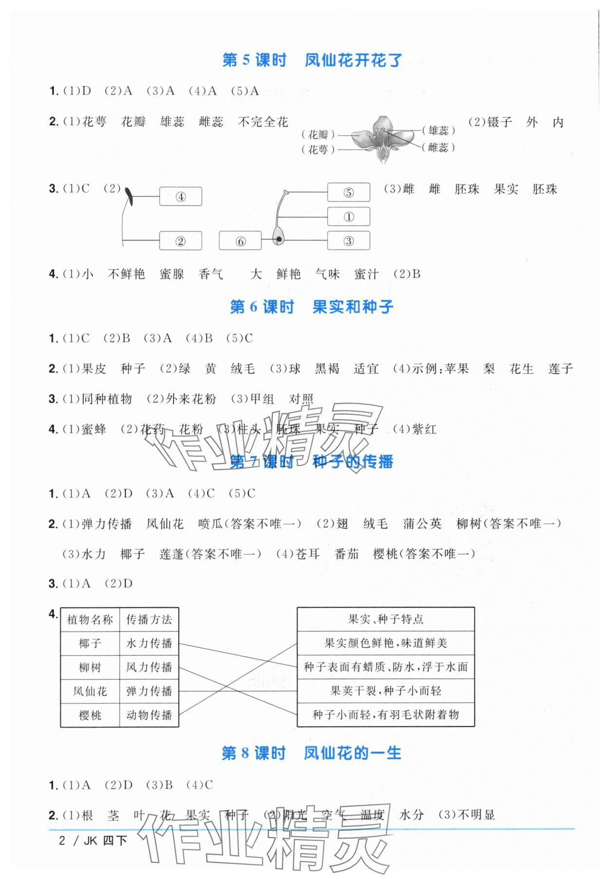 2024年阳光同学课时优化作业四年级科学下册教科版 第2页