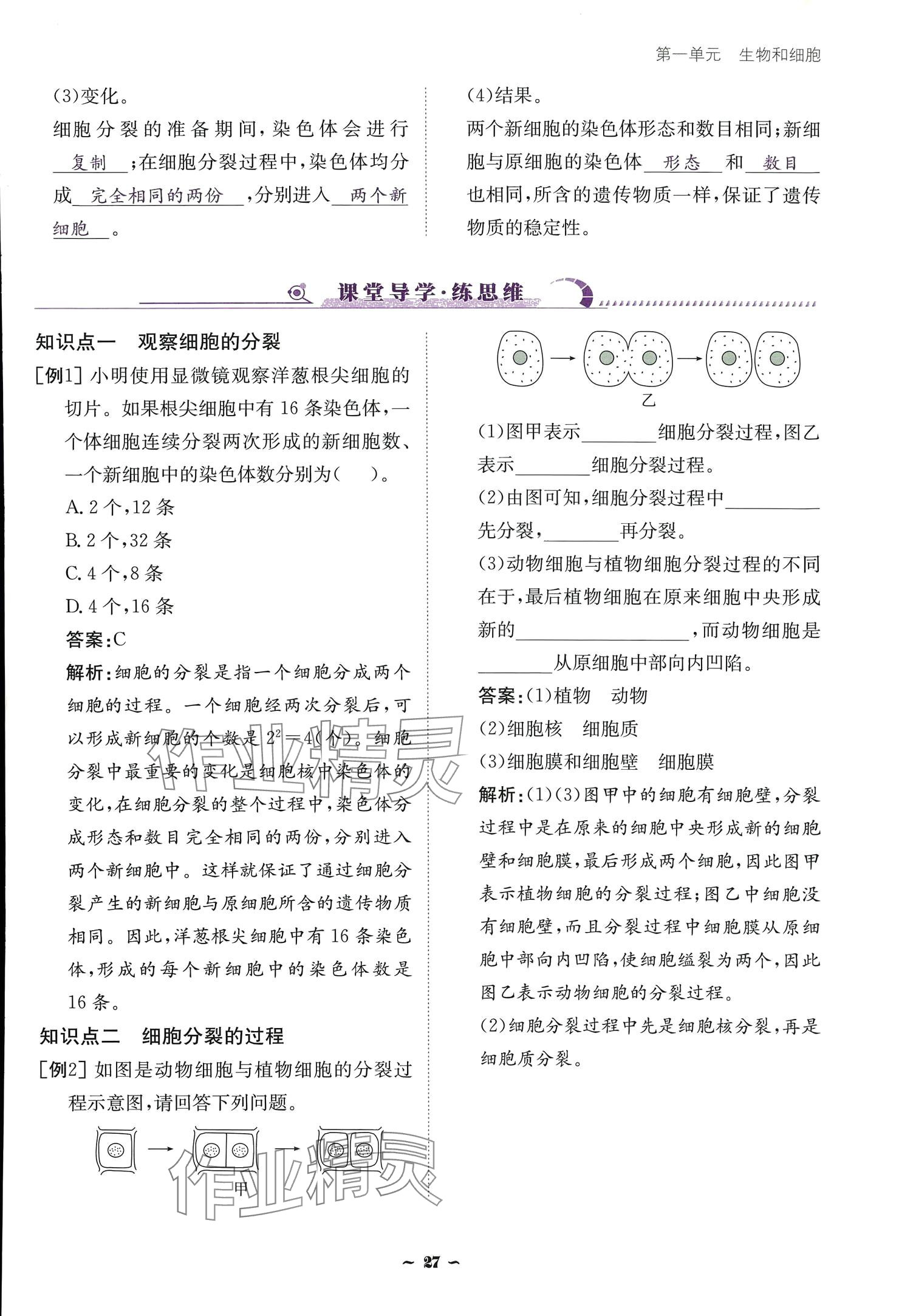 2024云南省標準教輔優(yōu)佳學案七年級生物上冊 參考答案第27頁