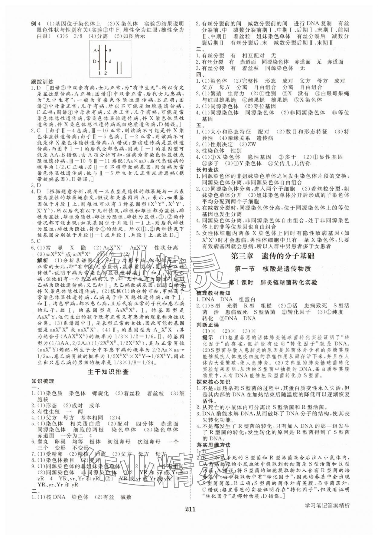 2025年步步高學習筆記高中生物必修2浙科版 參考答案第6頁