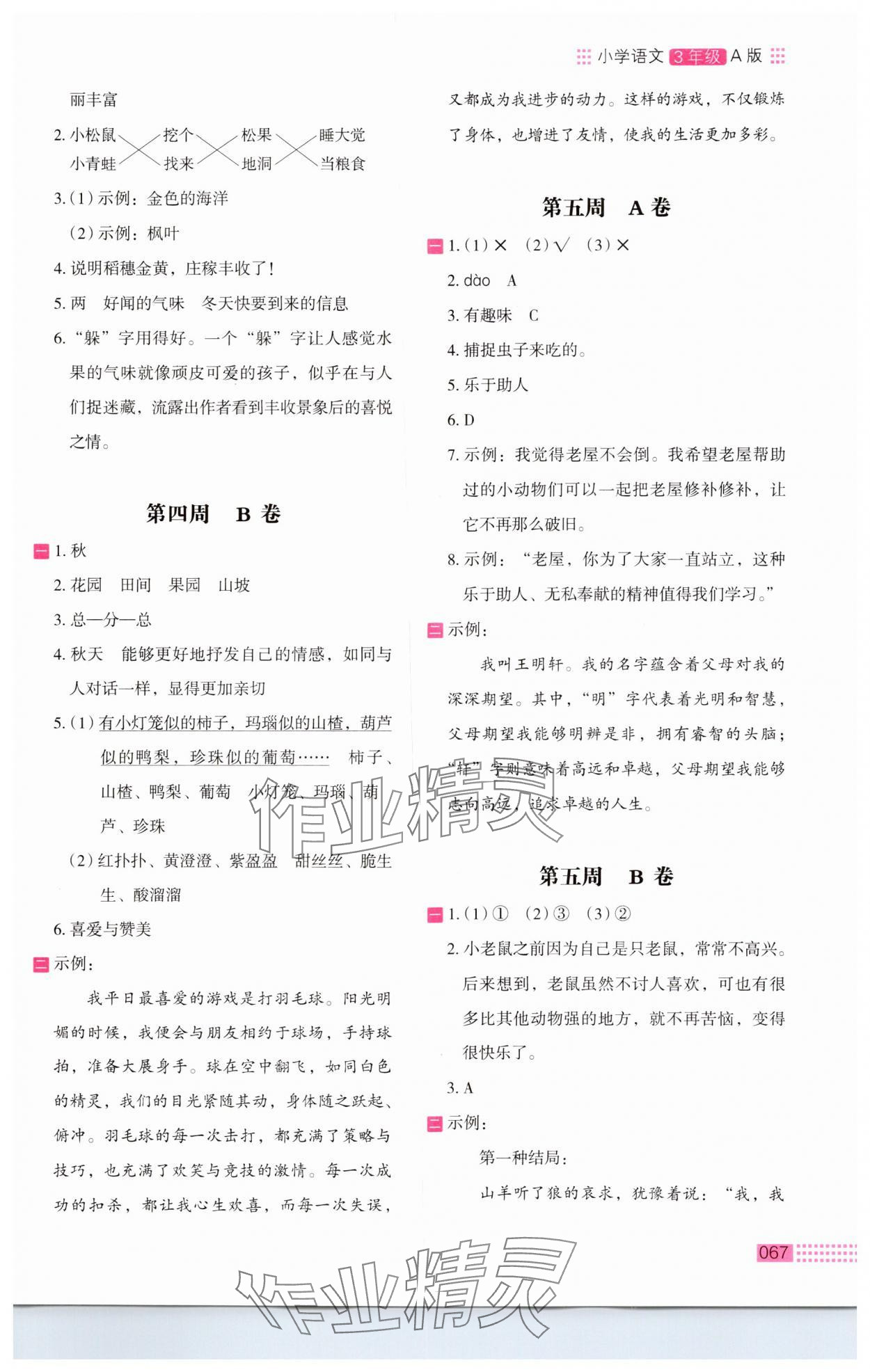 2024年木头马阅读小卷三年级语文人教版A版 第3页