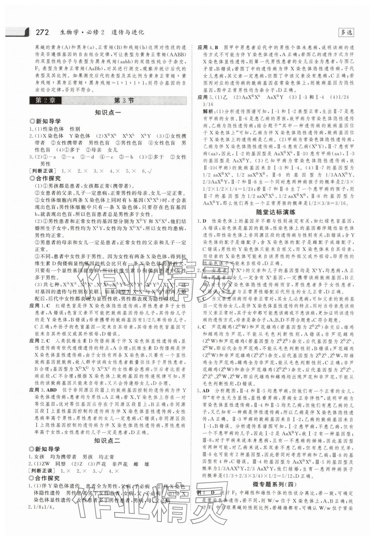 2025年金版新學案高中生物必修2人教版 參考答案第11頁