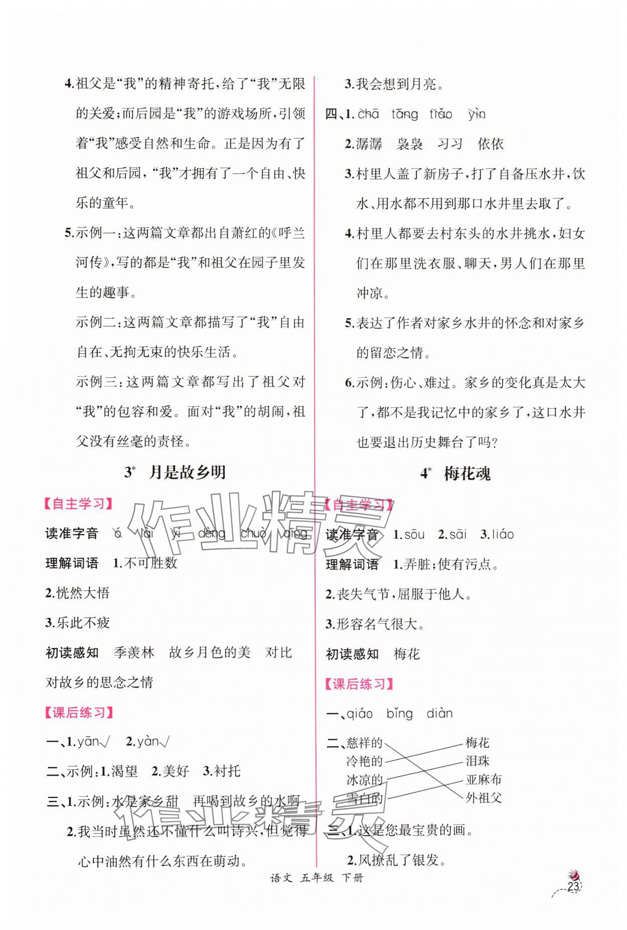 2025年課時(shí)練人民教育出版社五年級(jí)語(yǔ)文下冊(cè)人教版 第3頁(yè)