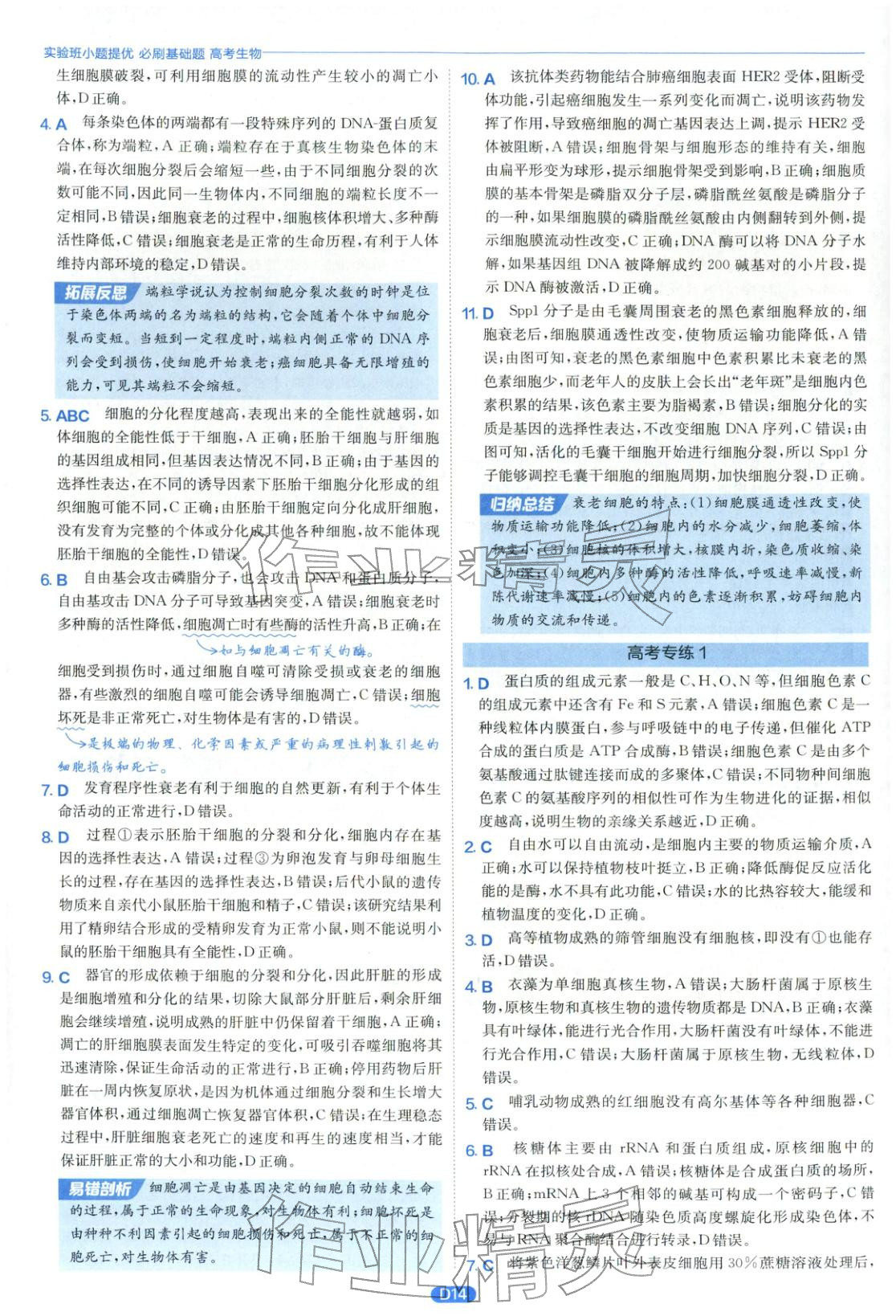 2026年實驗班小題提優(yōu)必刷基礎(chǔ)題生物江蘇專版&nbsp;第14頁