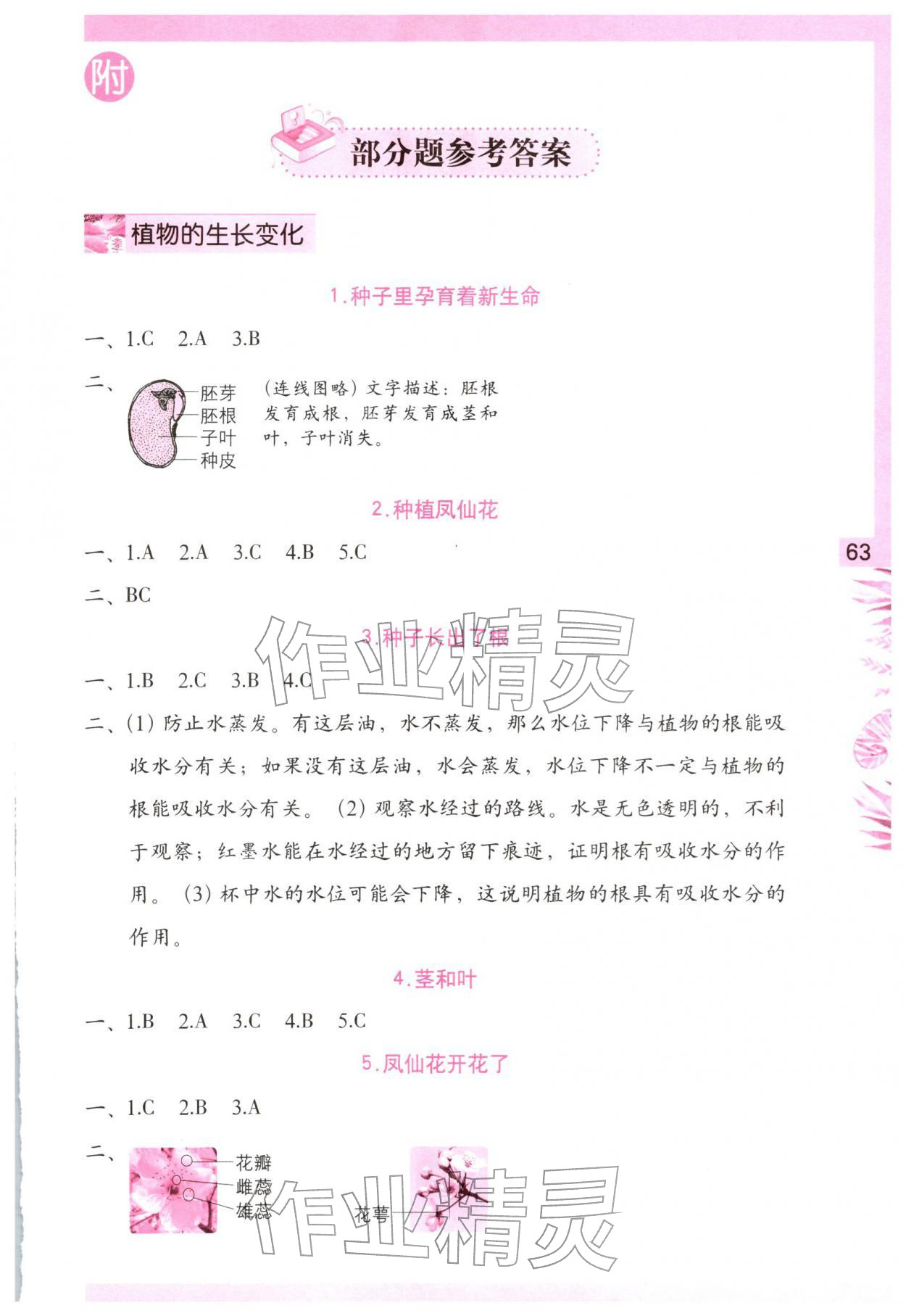 2026年学习与巩固四年级科学下册教科版&nbsp;第1页