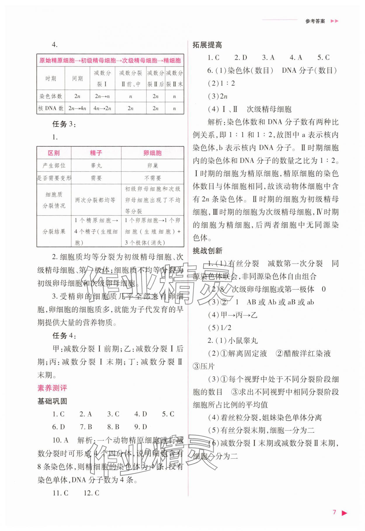 2025年普通高中同步練習冊高中生物必修2人教版 參考答案第7頁