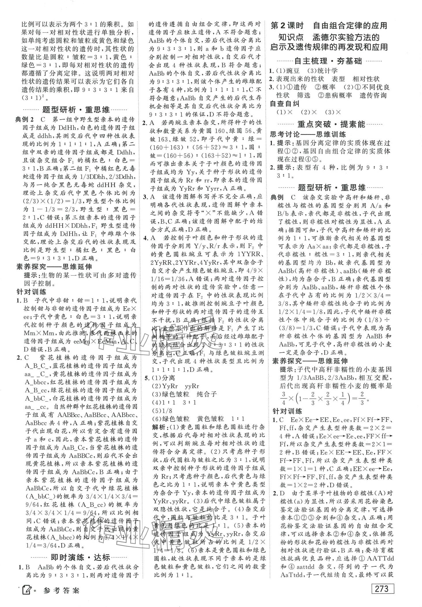 2024年红对勾讲与练高中生物必修2人教版 第3页