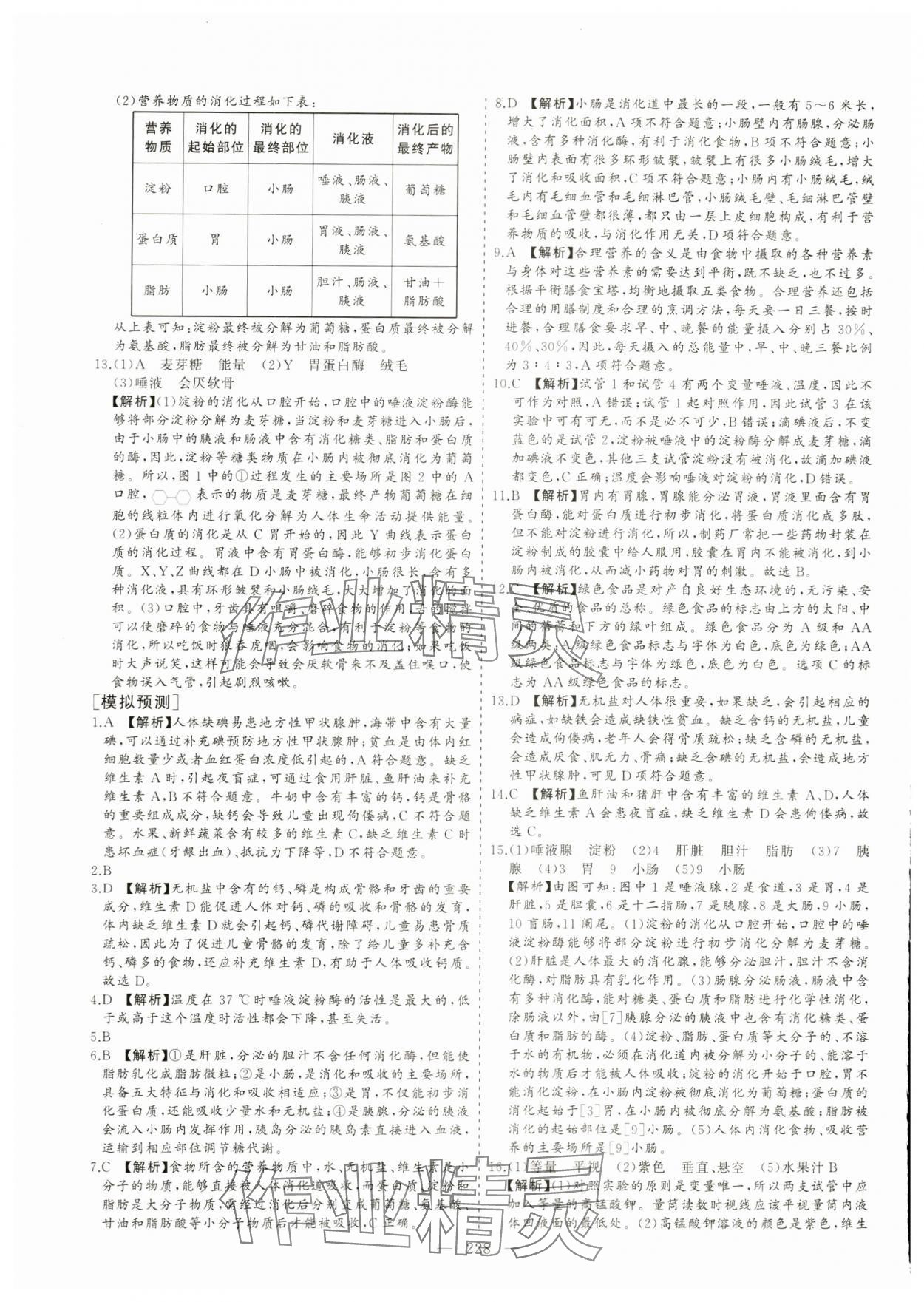 2024年新中考集訓(xùn)中考總復(fù)習(xí)生物濟(jì)南版 參考答案第13頁