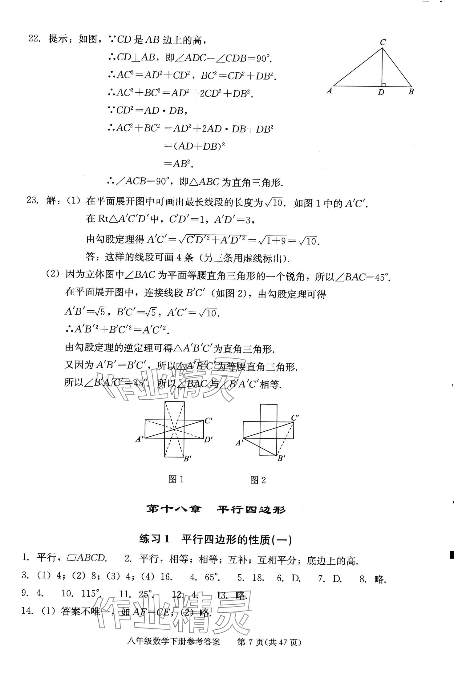 2024年学习探究诊断八年级数学下册人教版 第7页