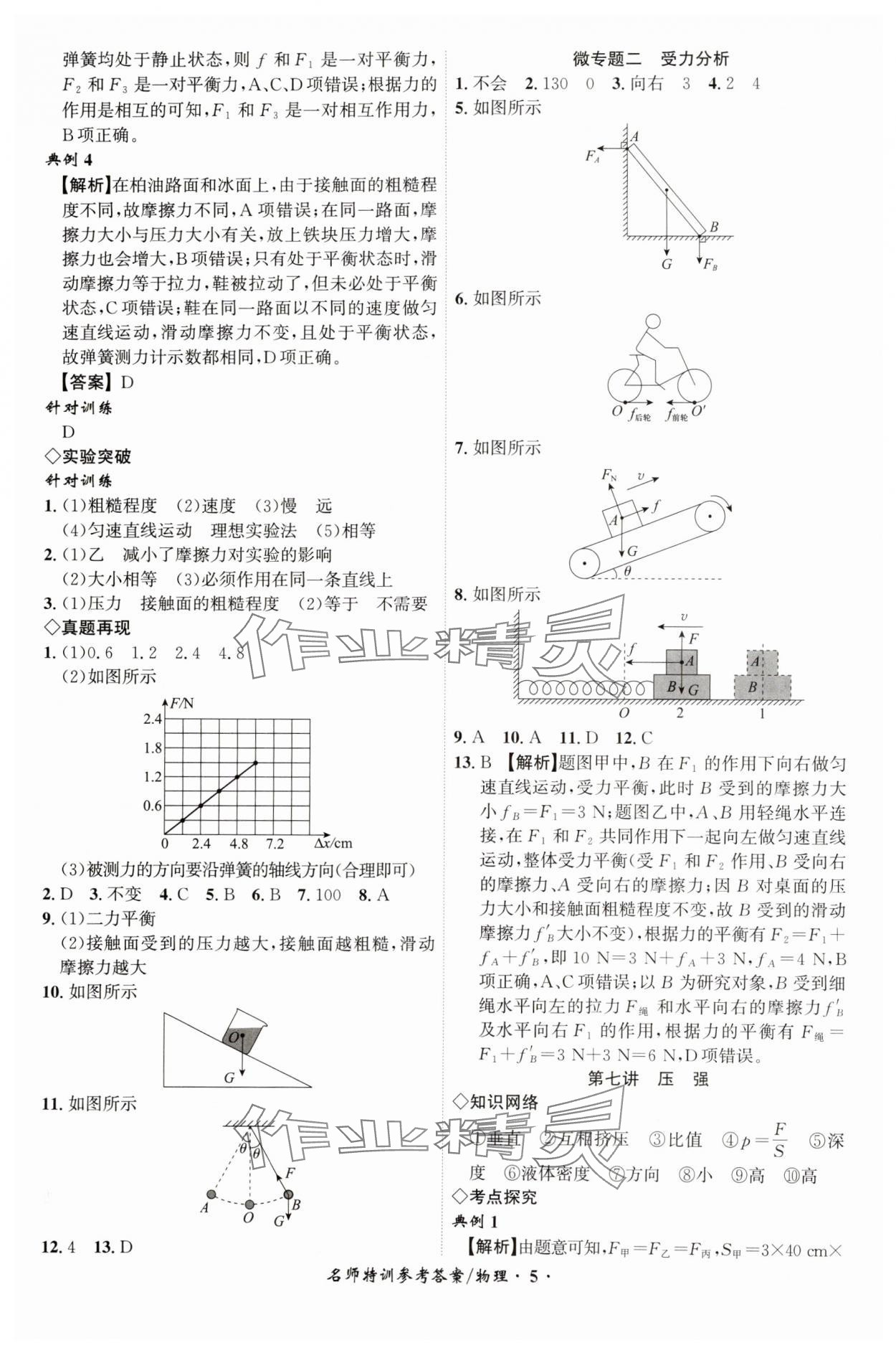 2025年名師特訓物理安徽專版 第5頁