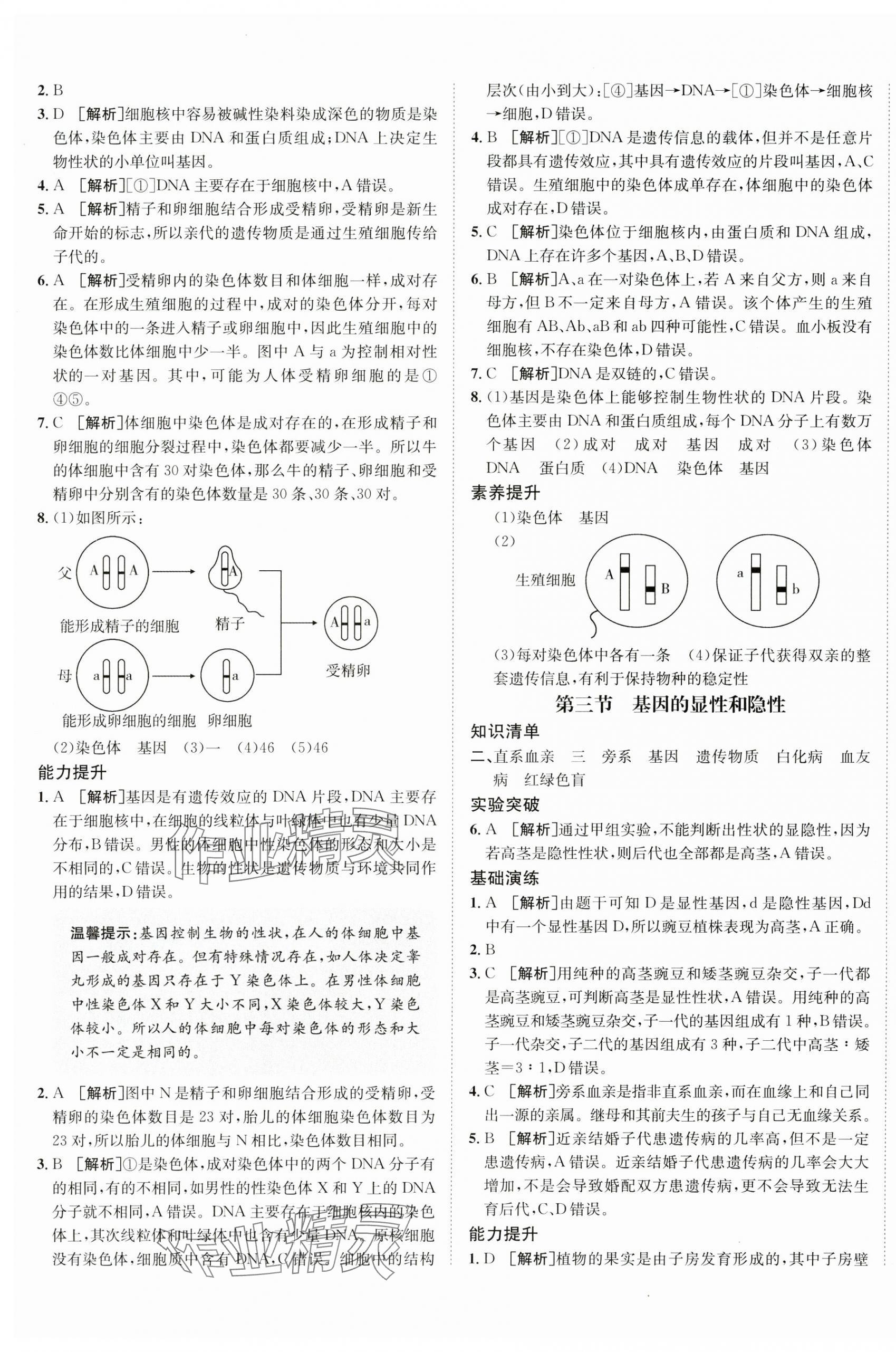 2025年同行學(xué)案八年級(jí)生物下冊(cè)人教版 第5頁(yè)
