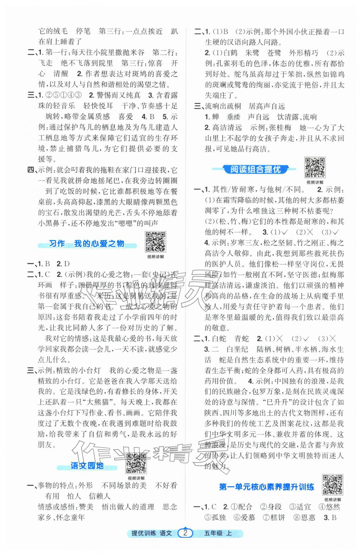 2025年阳光同学课时提优训练五年级语文上册人教版 第2页