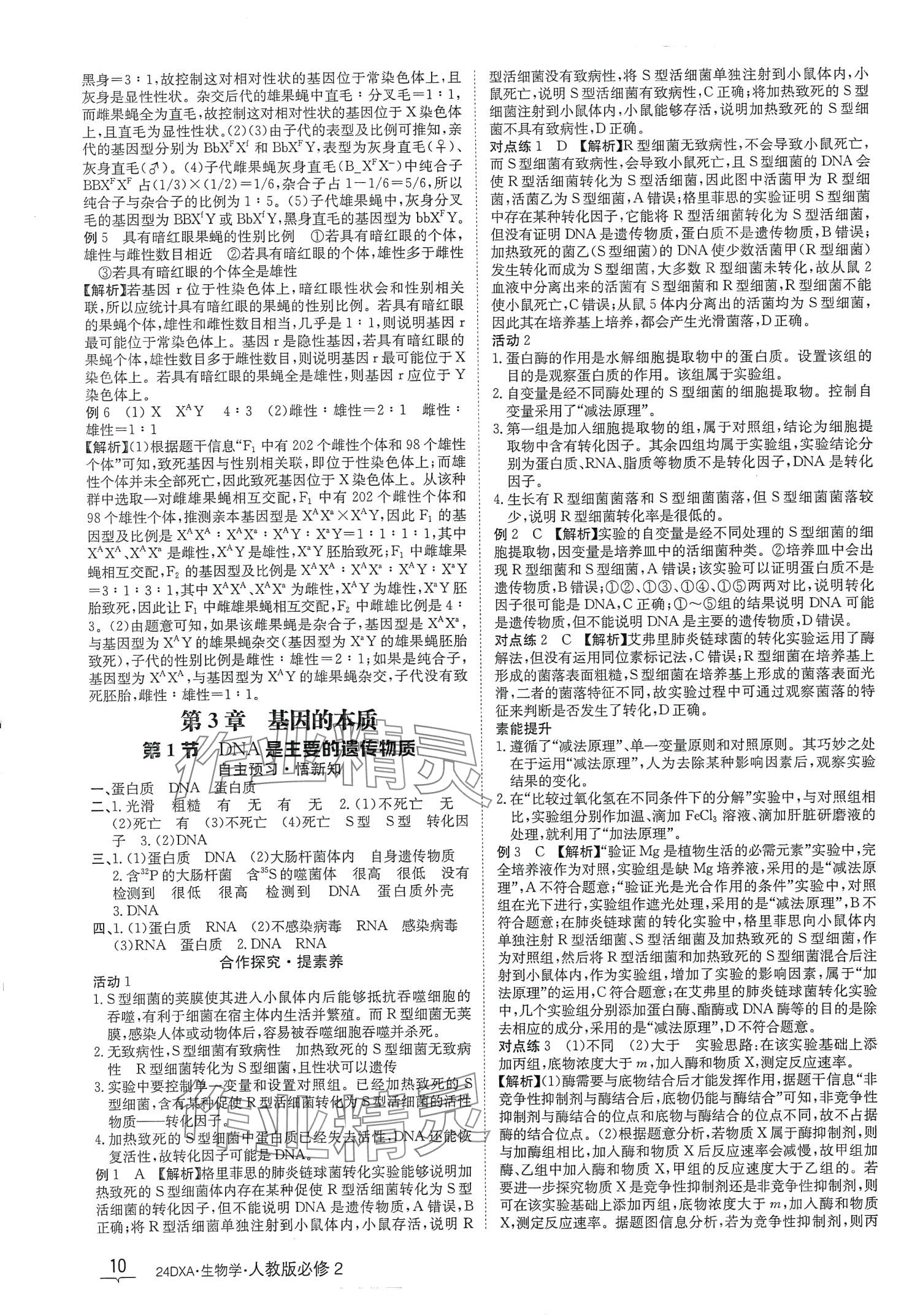 2024年金太陽導(dǎo)學(xué)案高中生物必修2人教版新教材 第10頁