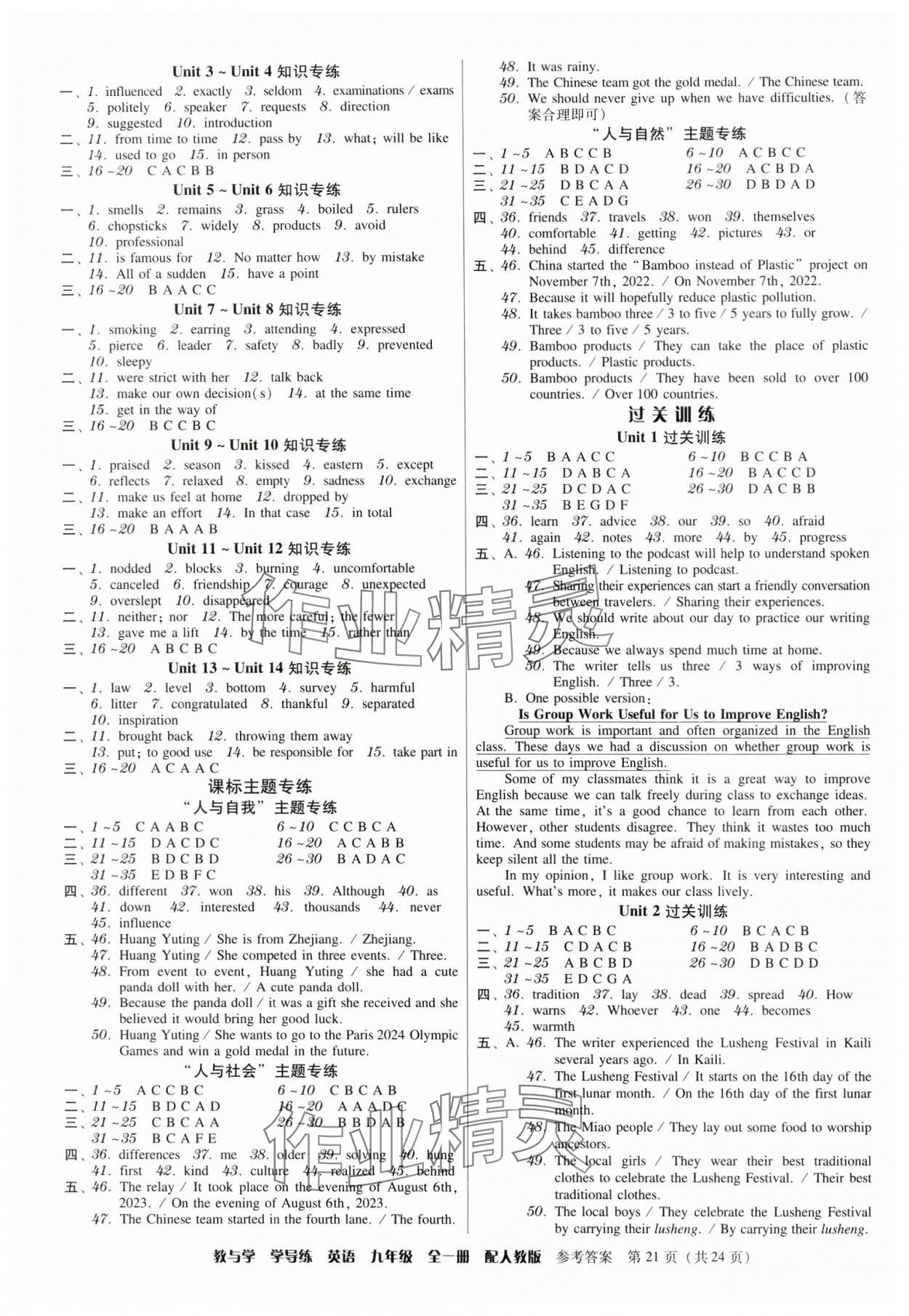 2024年教與學(xué)學(xué)導(dǎo)練九年級英語全一冊人教版 第21頁