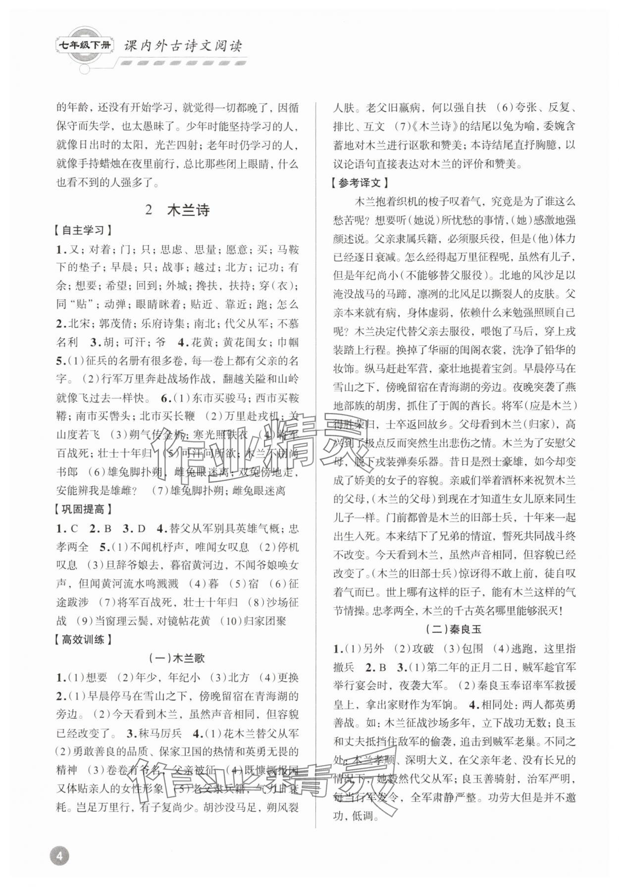 2025年專題攻略課內外古詩文閱讀高效訓練七年級下冊 參考答案第3頁
