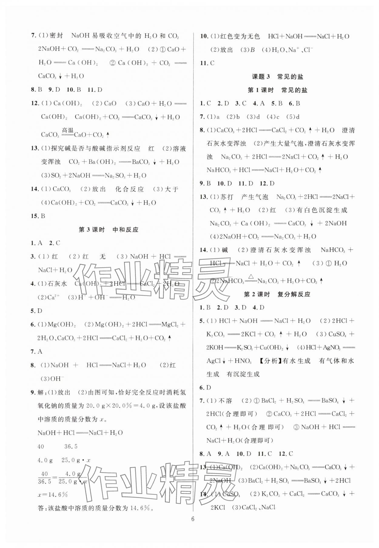 2025年课时夺冠九年级化学下册人教版 参考答案第6页