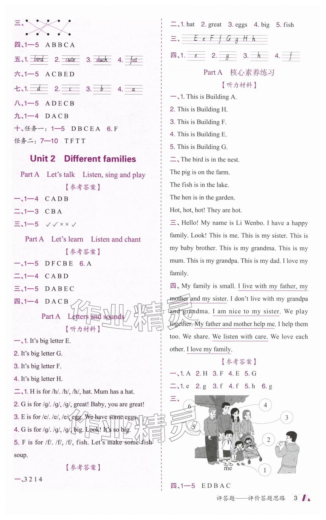 2025年金牛耳动成长三年级英语上册人教版&nbsp;第3页